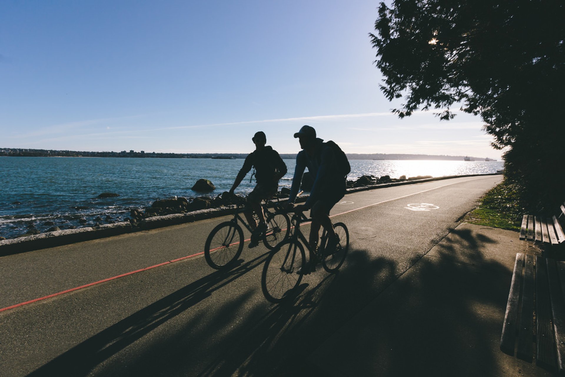 Ciclismo e bicicleta de montanha