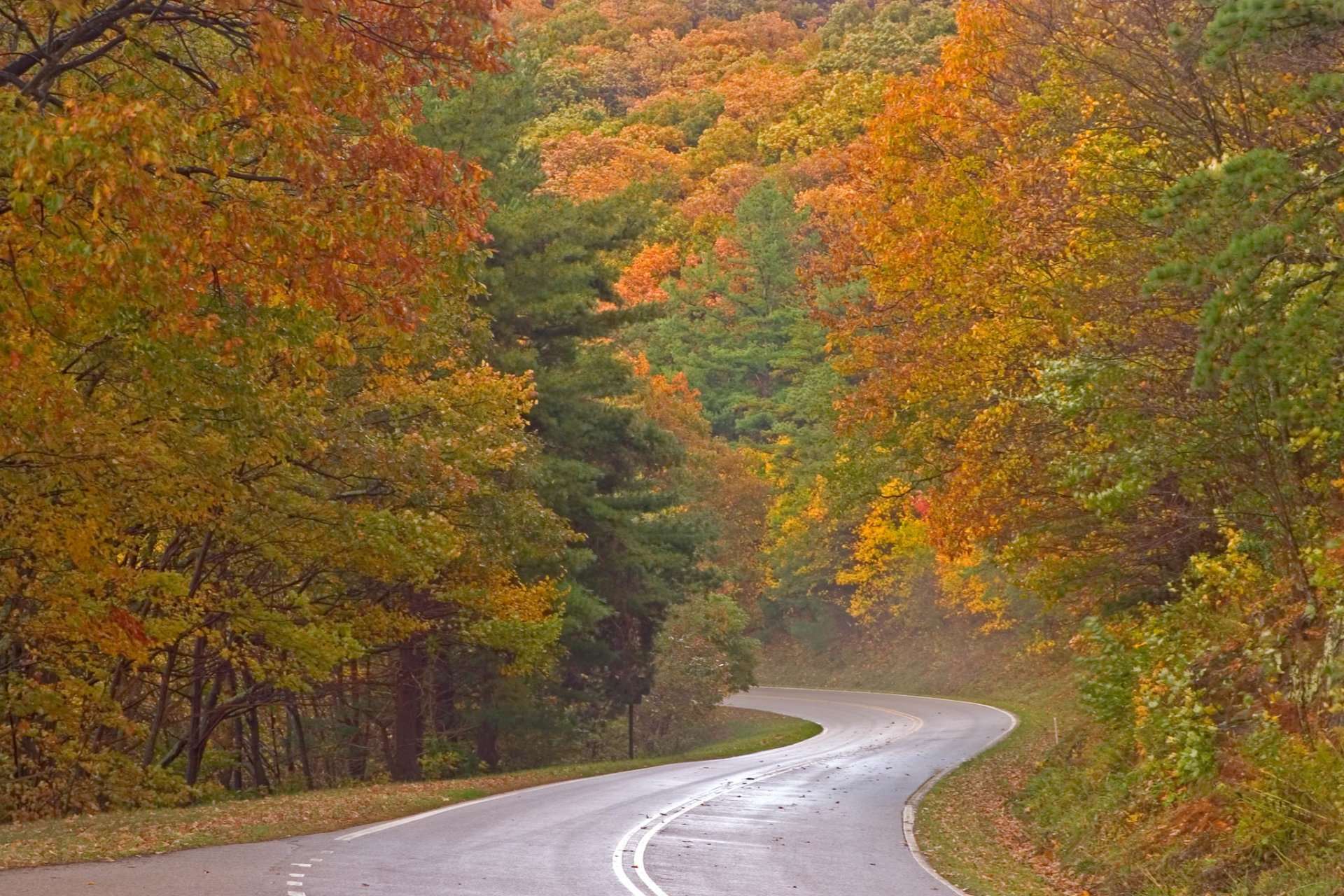 Couleurs d'automne à Parc national de Shenandoah