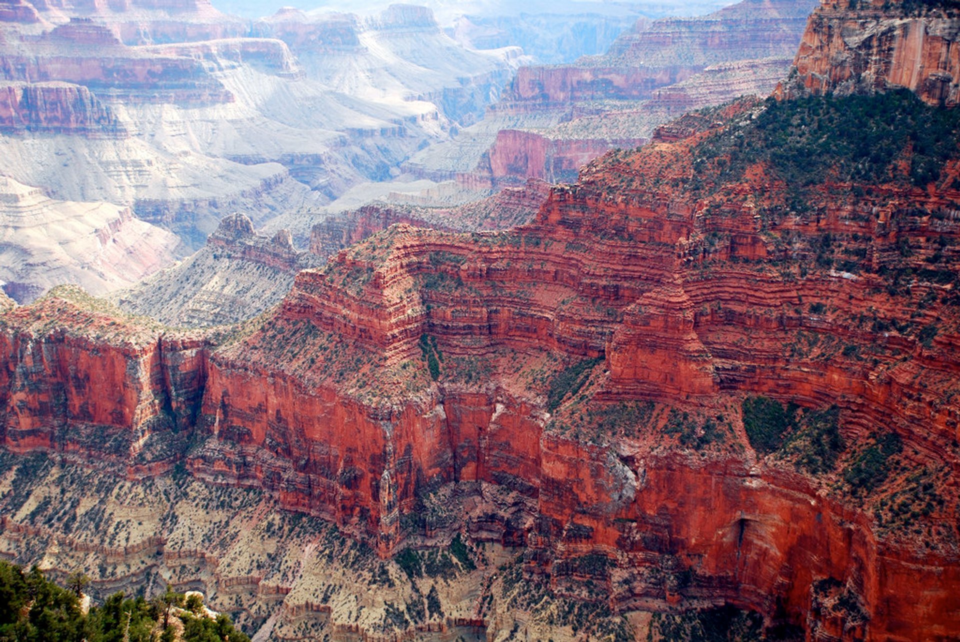 north rim grand canyon viewing points        <h3 class=