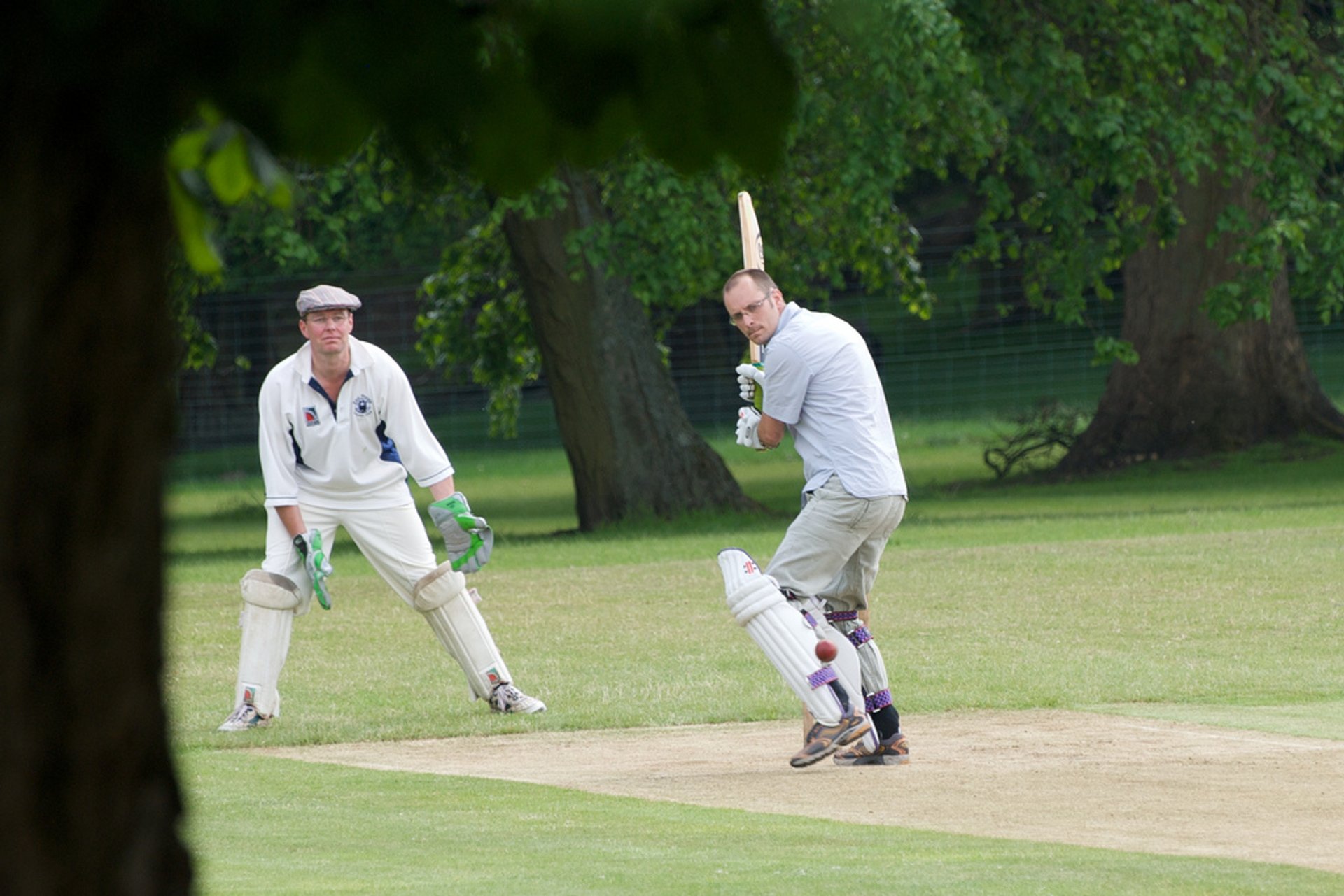 Cricket anglais