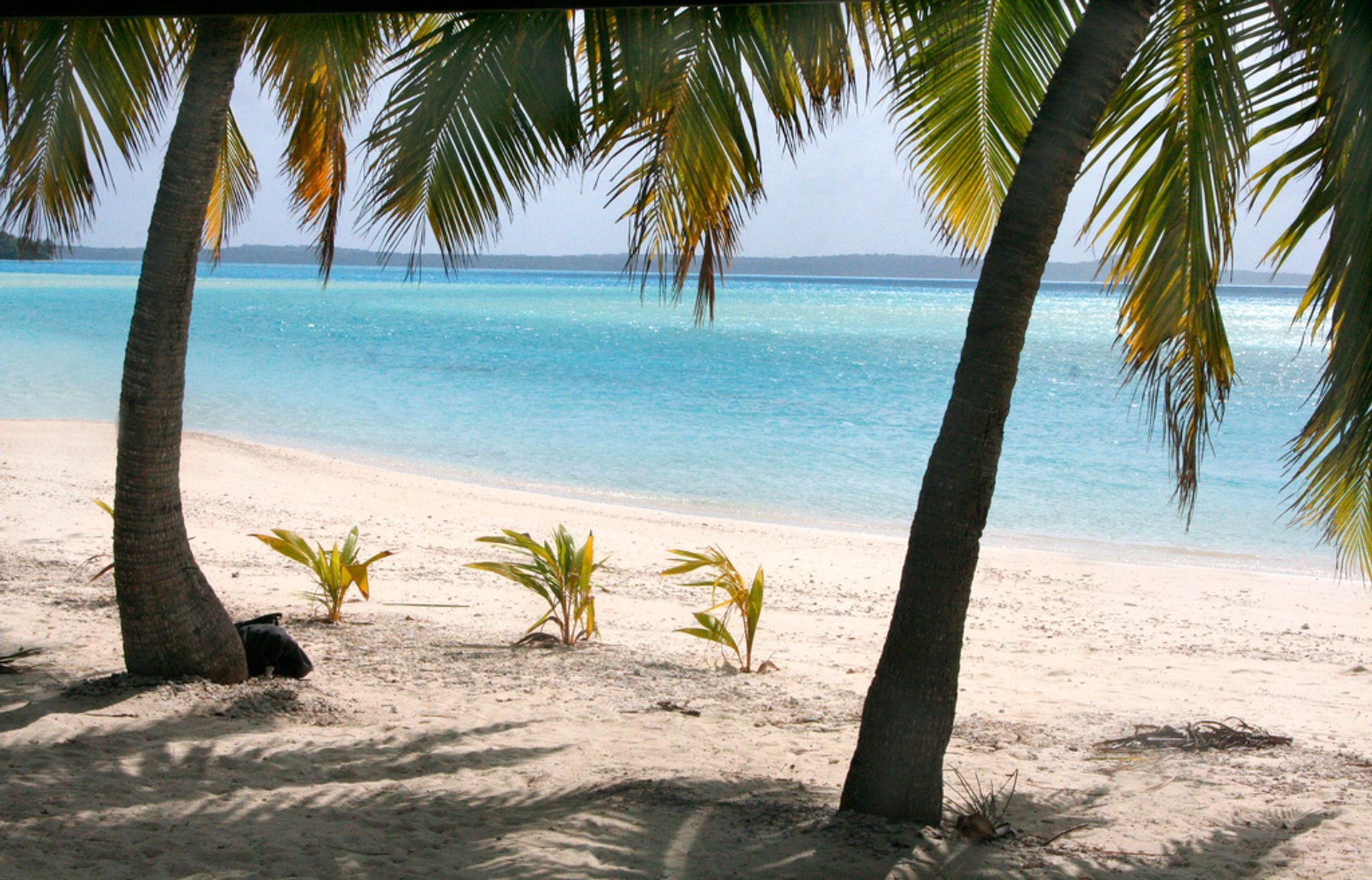 Saison des plages