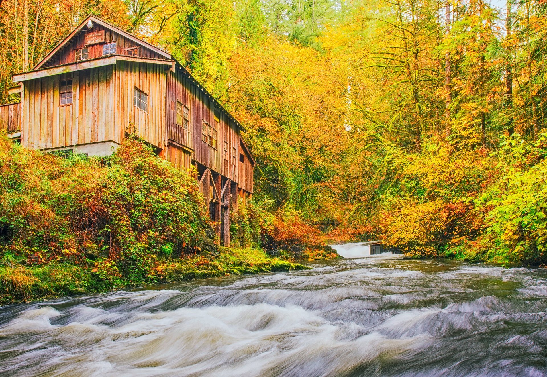 Washington Herbstlaub