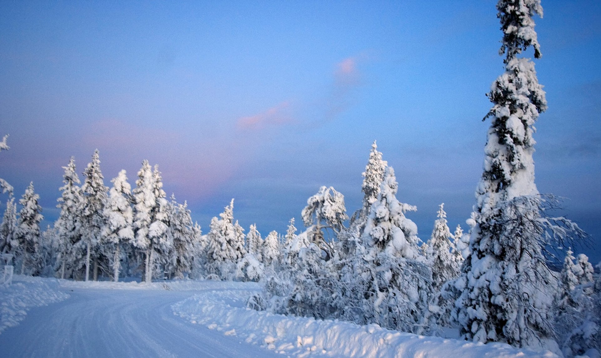 Kaamos: die Polarnacht