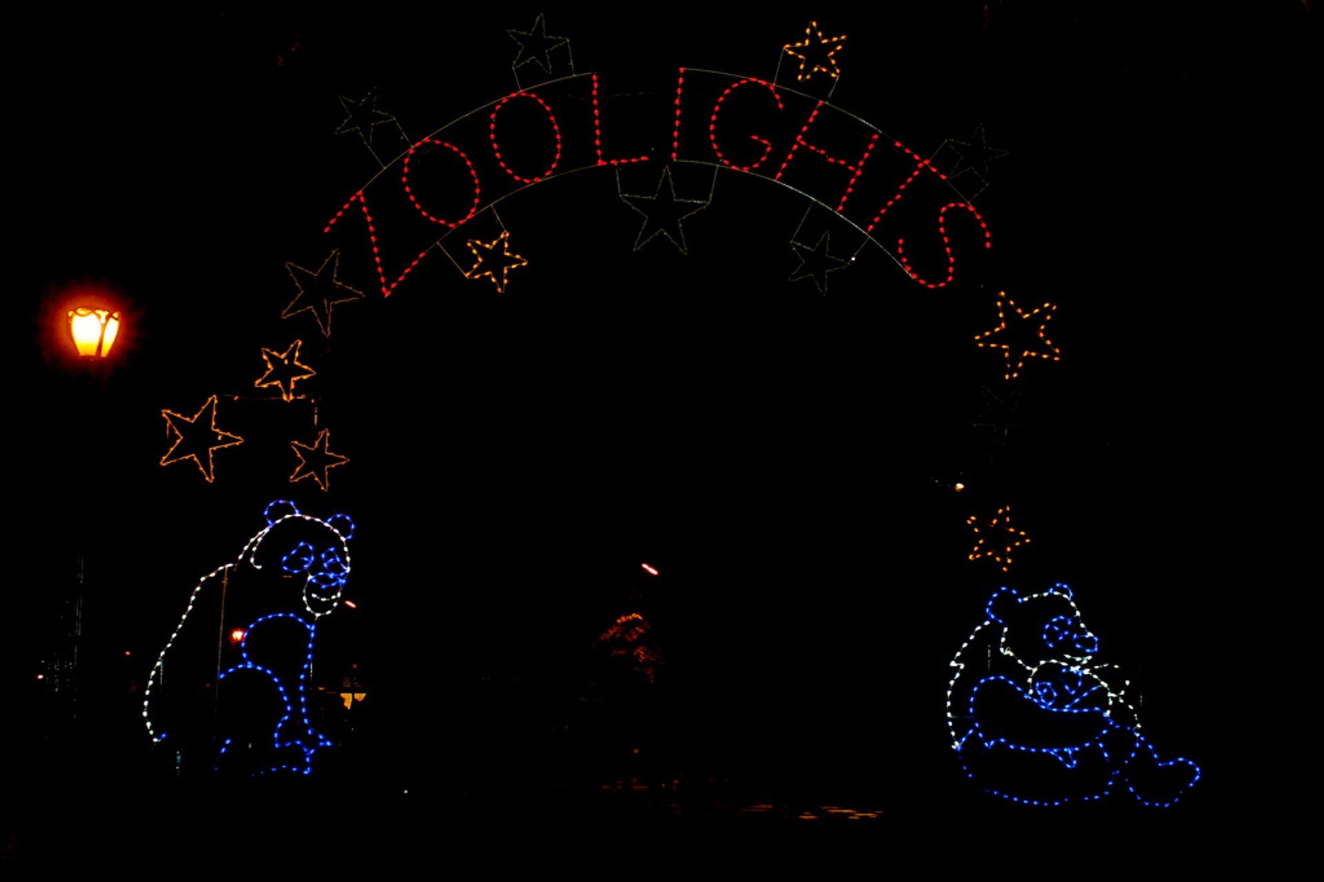 Christmas Lights