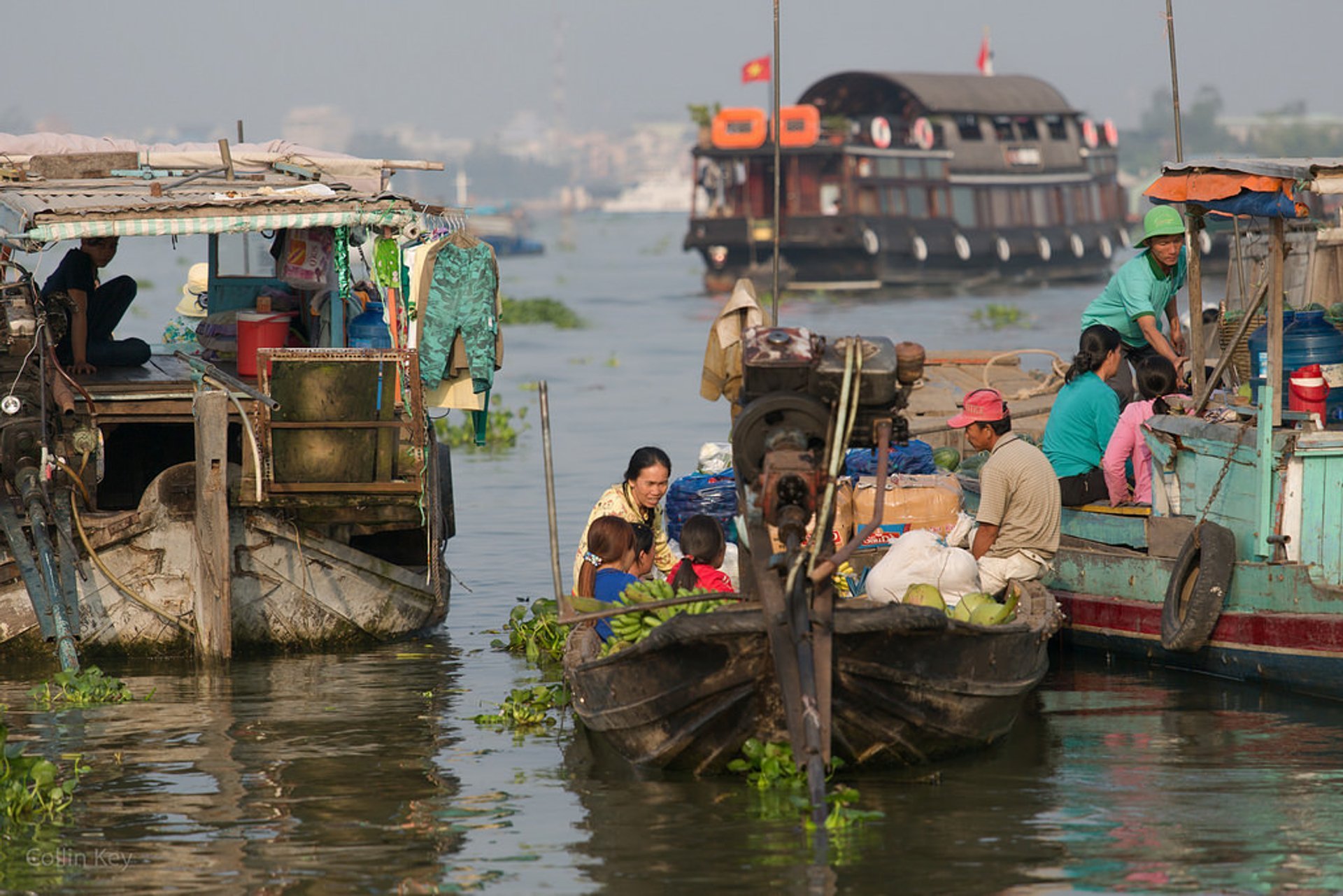 Mekong Delta Blumensaison