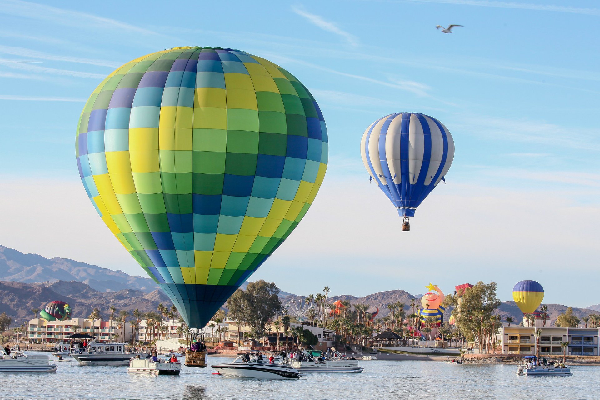 Lake Havasu Balloon Festival & Fair 2025 in Arizona Rove.me