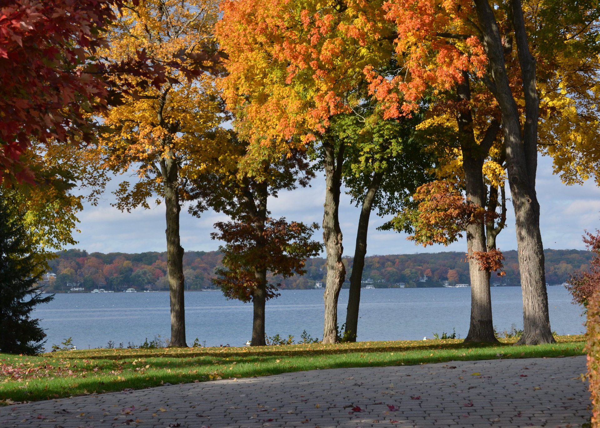 Herbstlaub in Lake Geneva