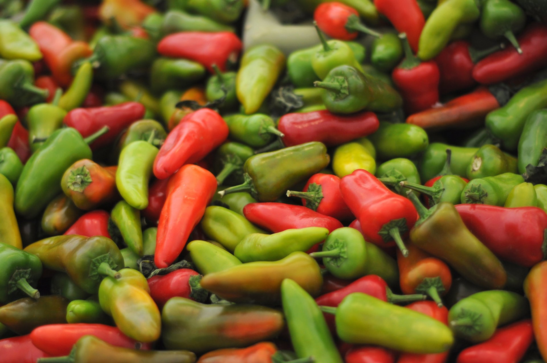 Festival del Chile y los Frijoles del Pueblo