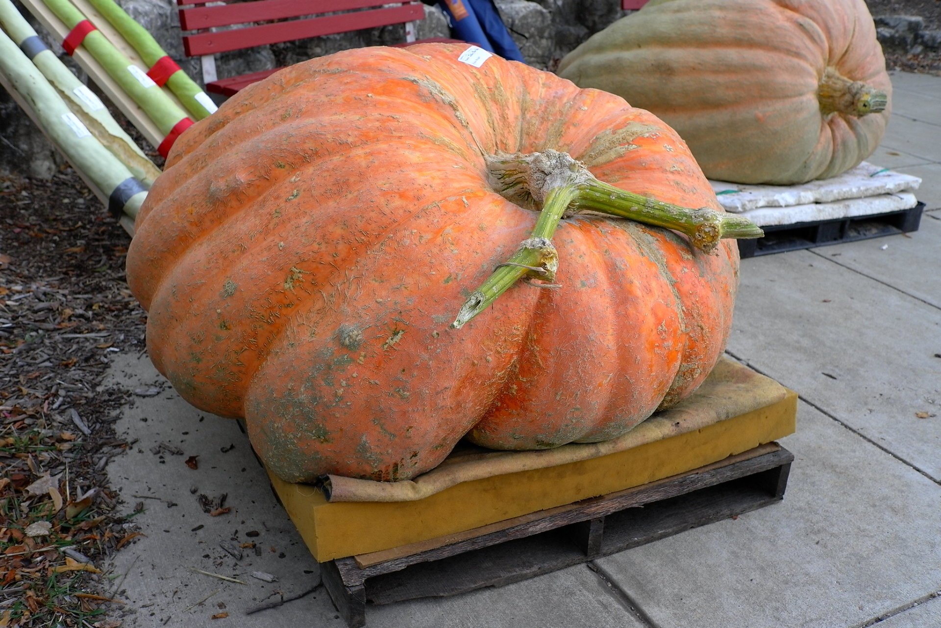 Wisconsin State Fair Harvest Festival