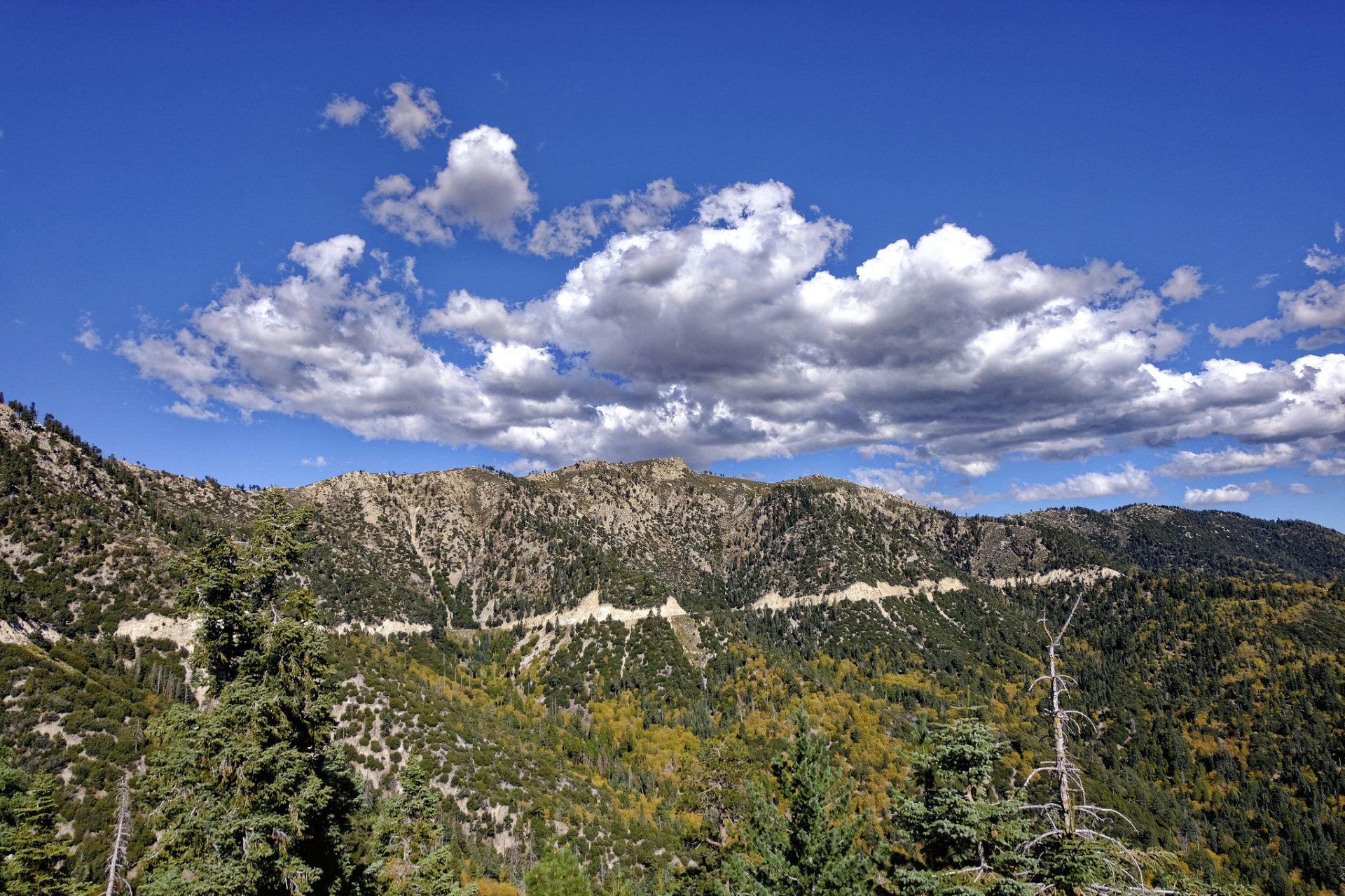 Colores de otoño del Big Bear Lake