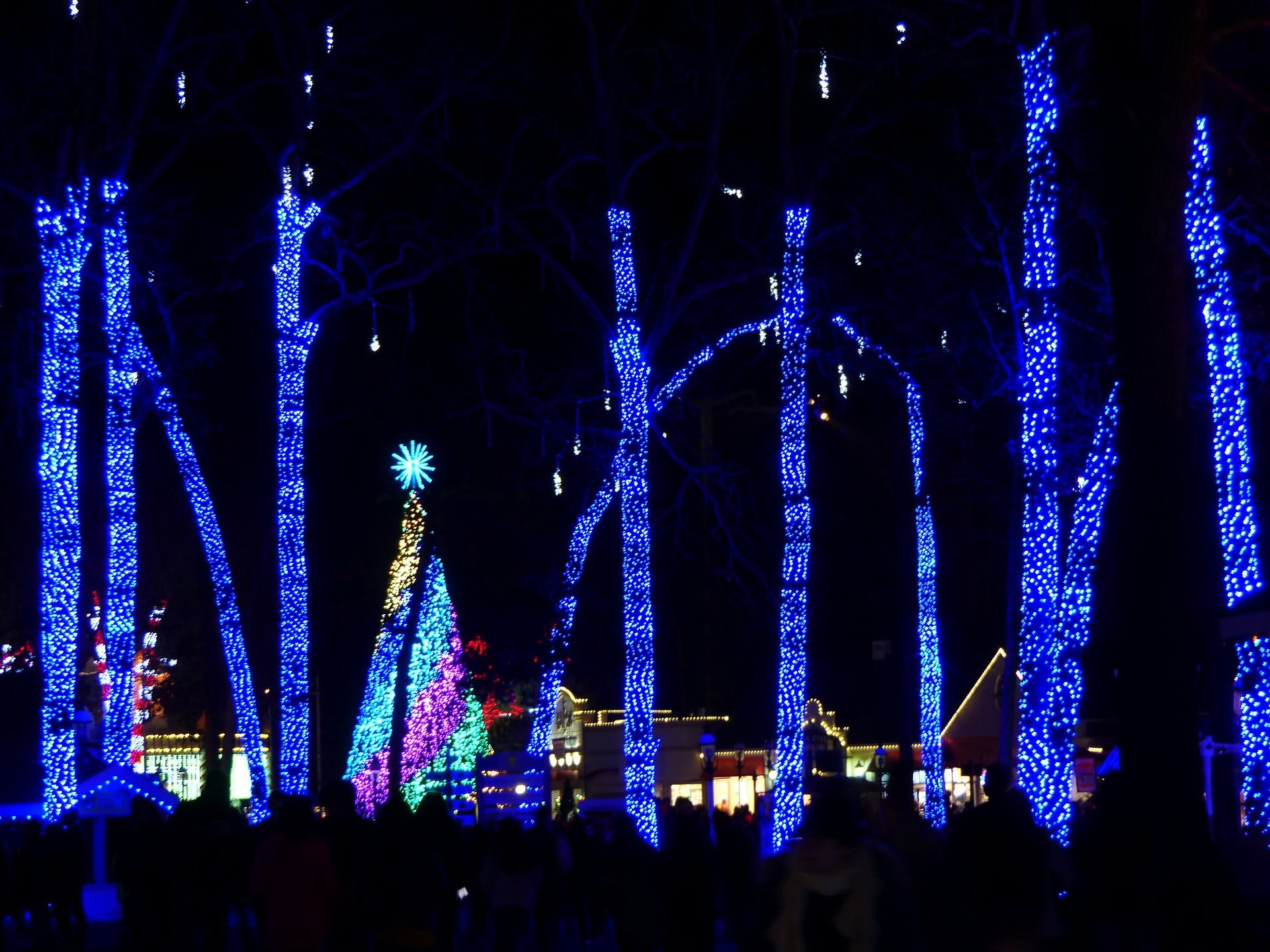 Luces de Navidad