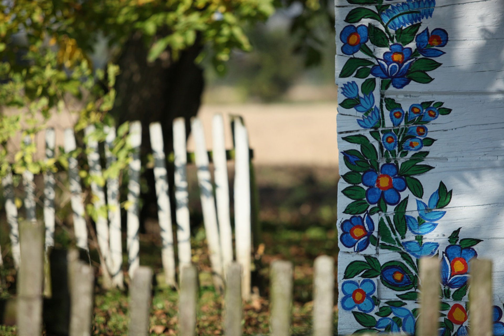 Painted Cottage Contest in Zalipie