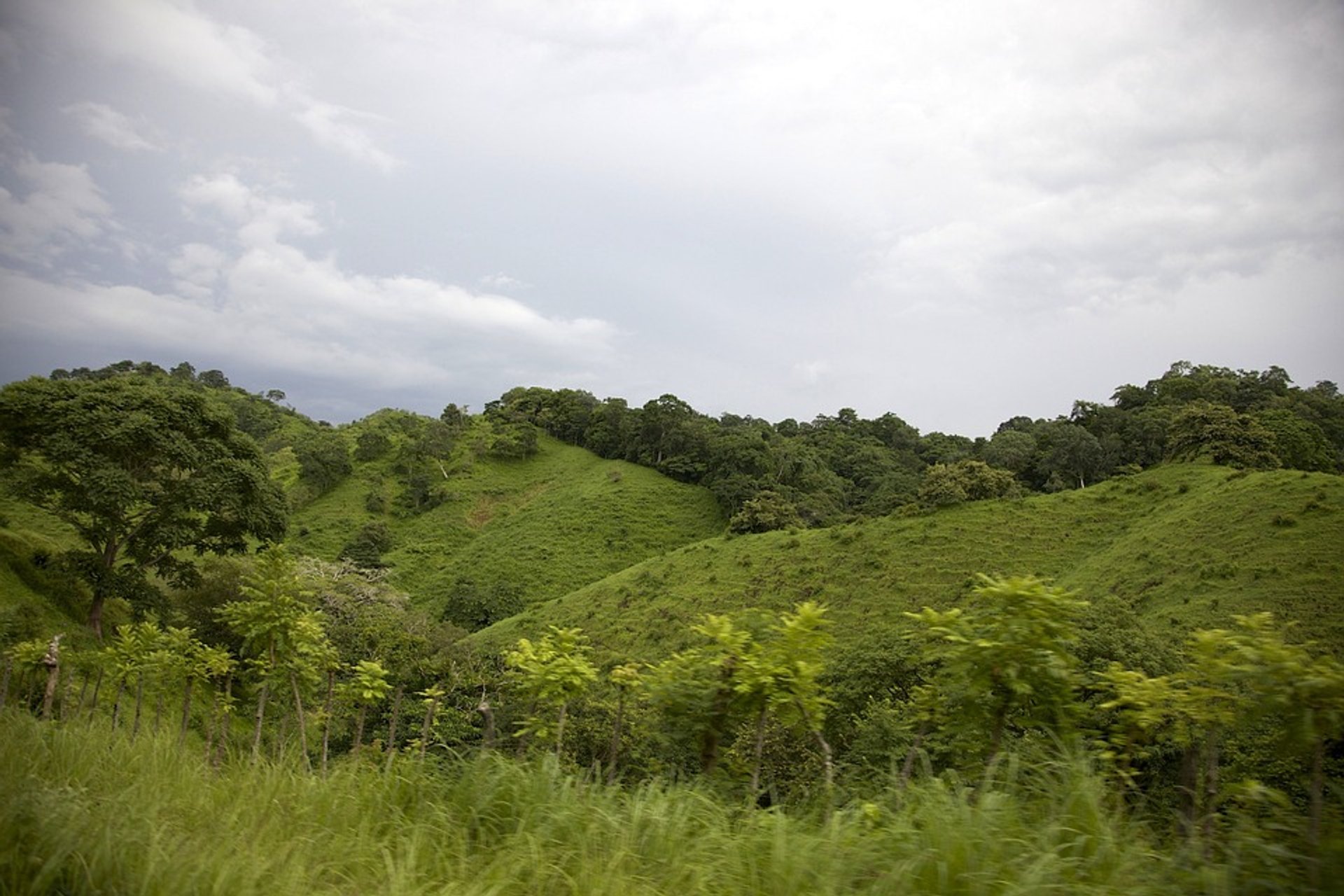 Sendero TransPanamá