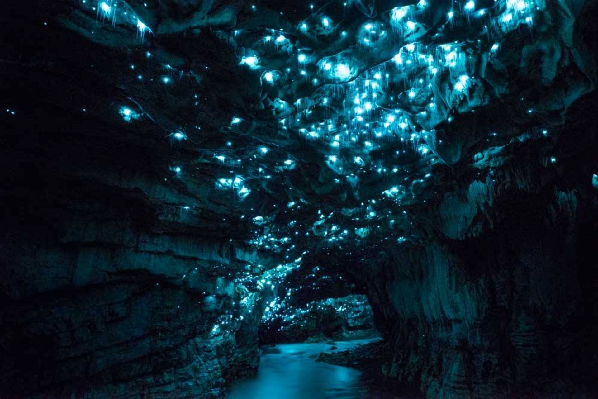 Waitomo Grottes