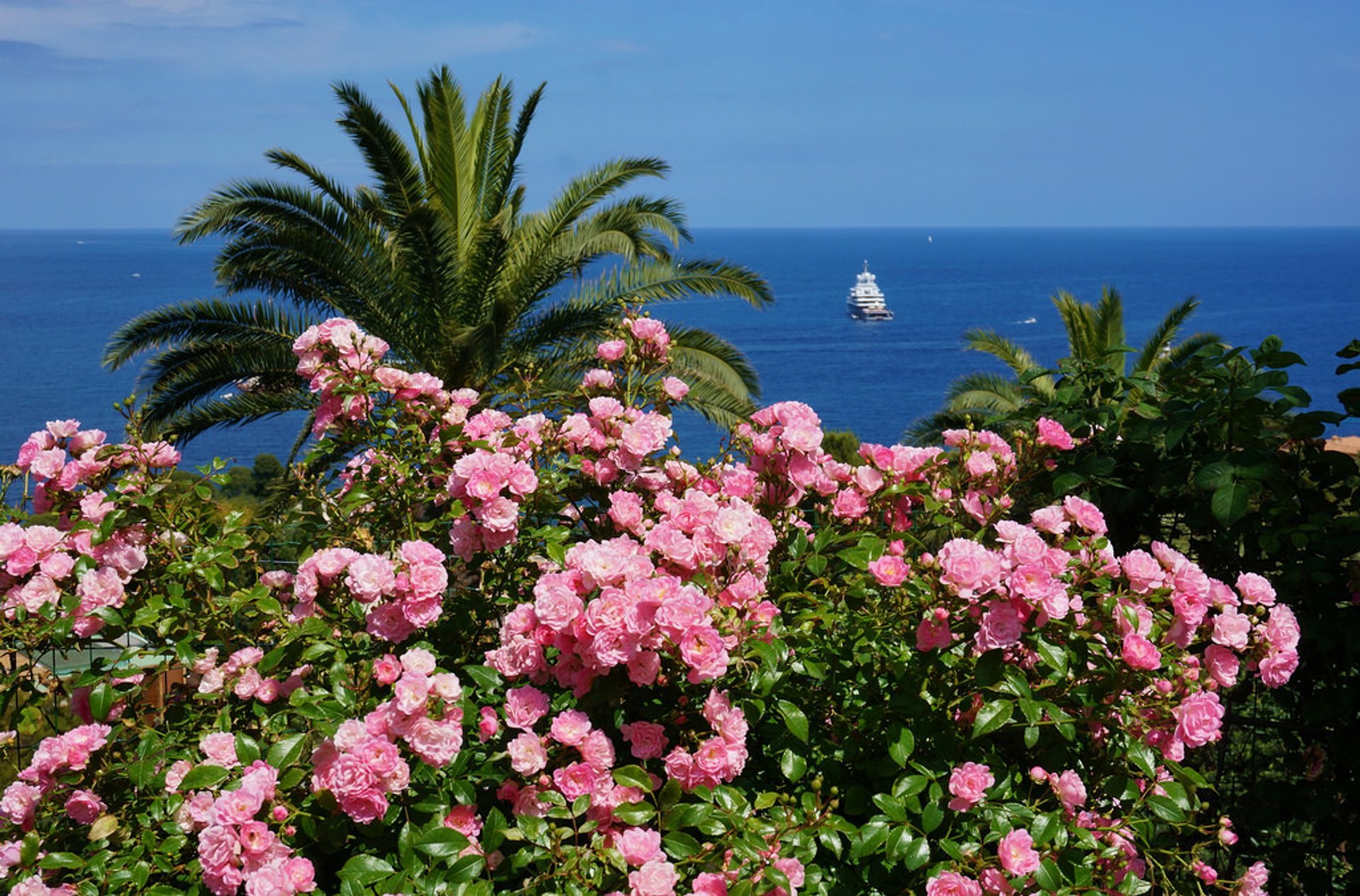 Exotischer Garten von Monaco