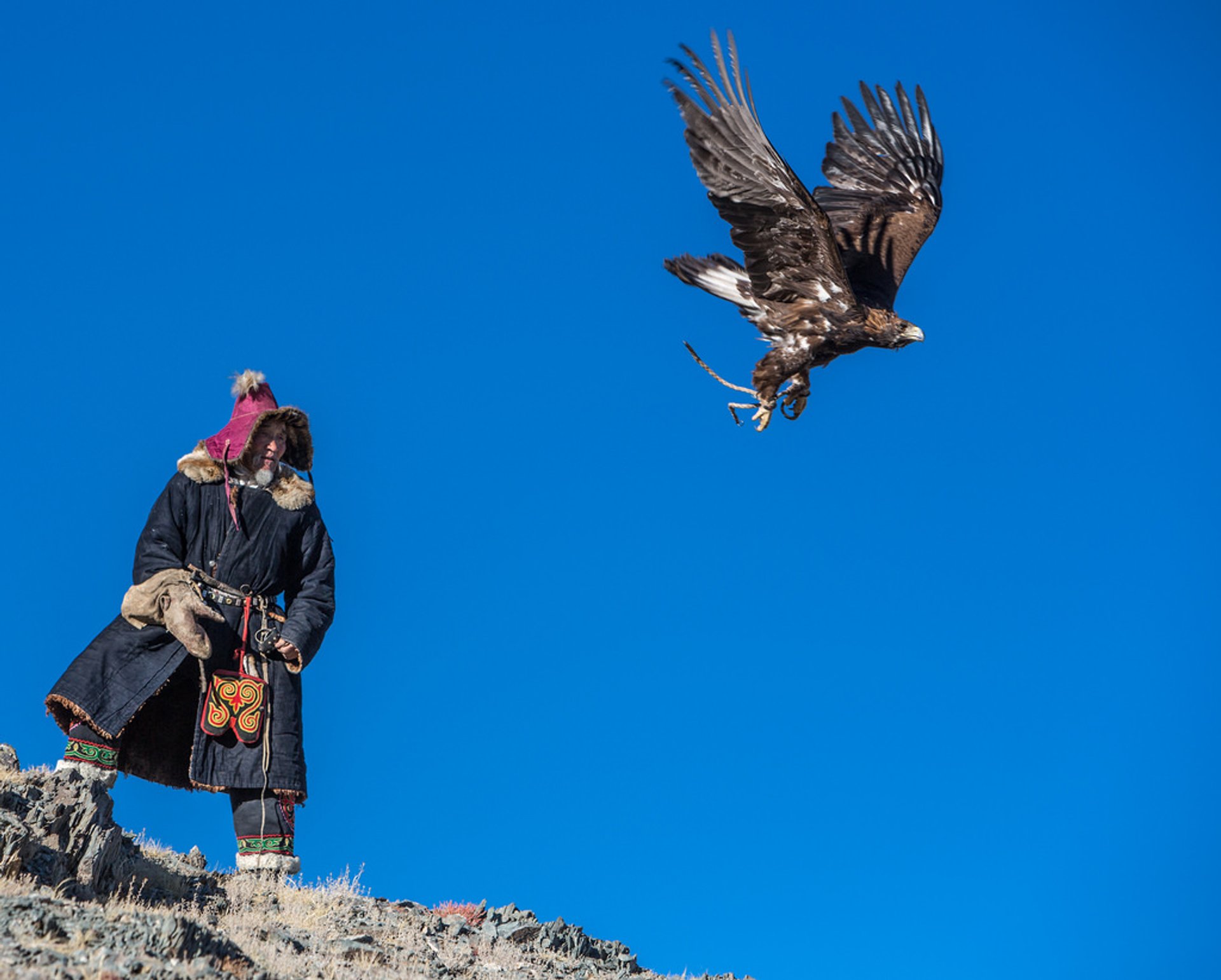 Hunting with Eagles