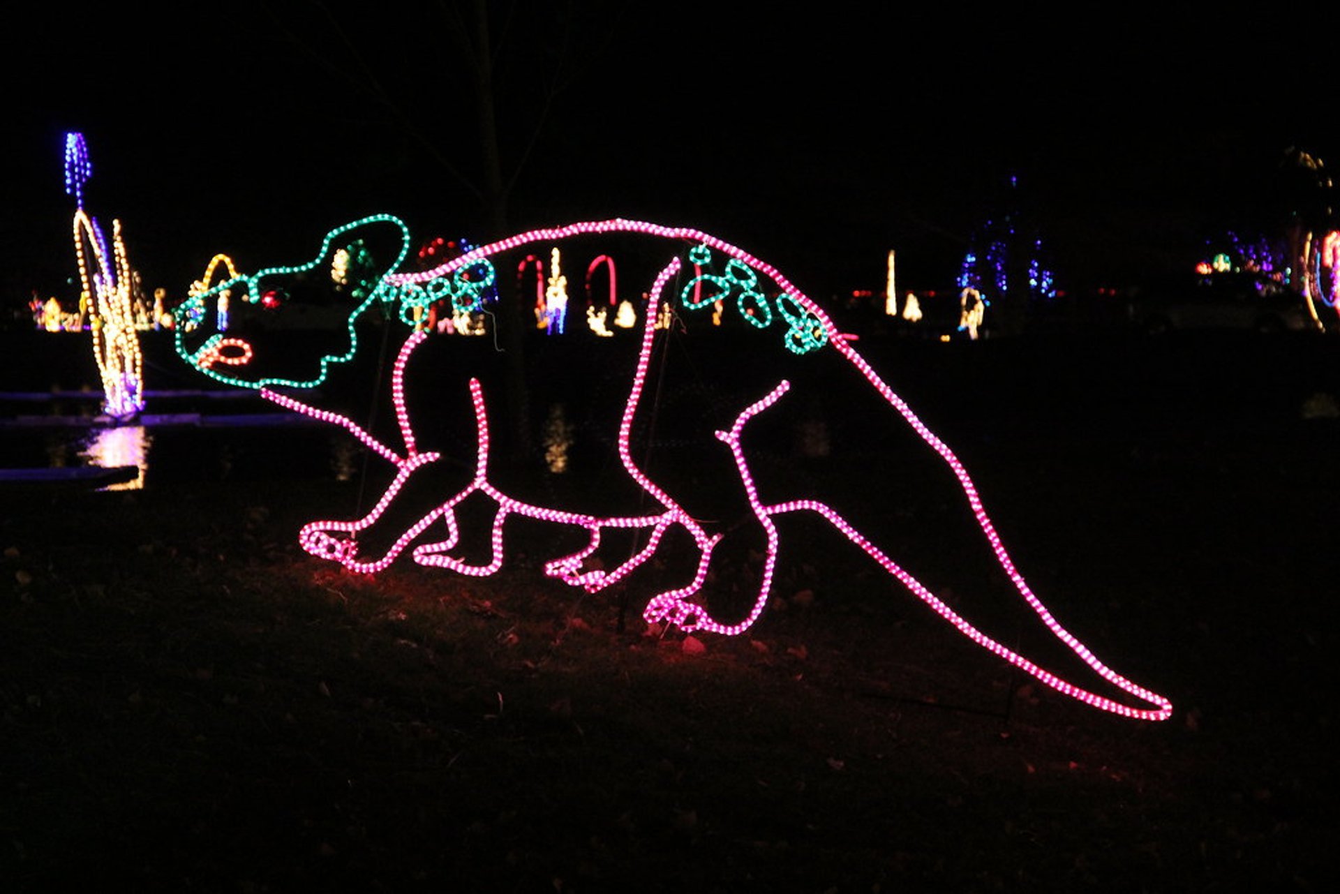 Weihnachtslichter in Salt Lake City