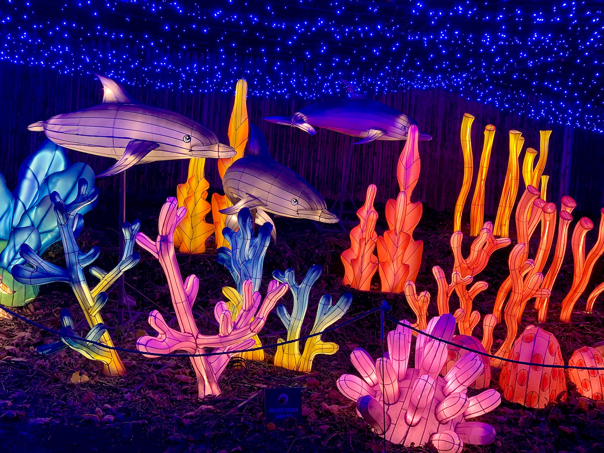 bronx-zoo-holiday-lights-2023-2024-in-new-york-dates