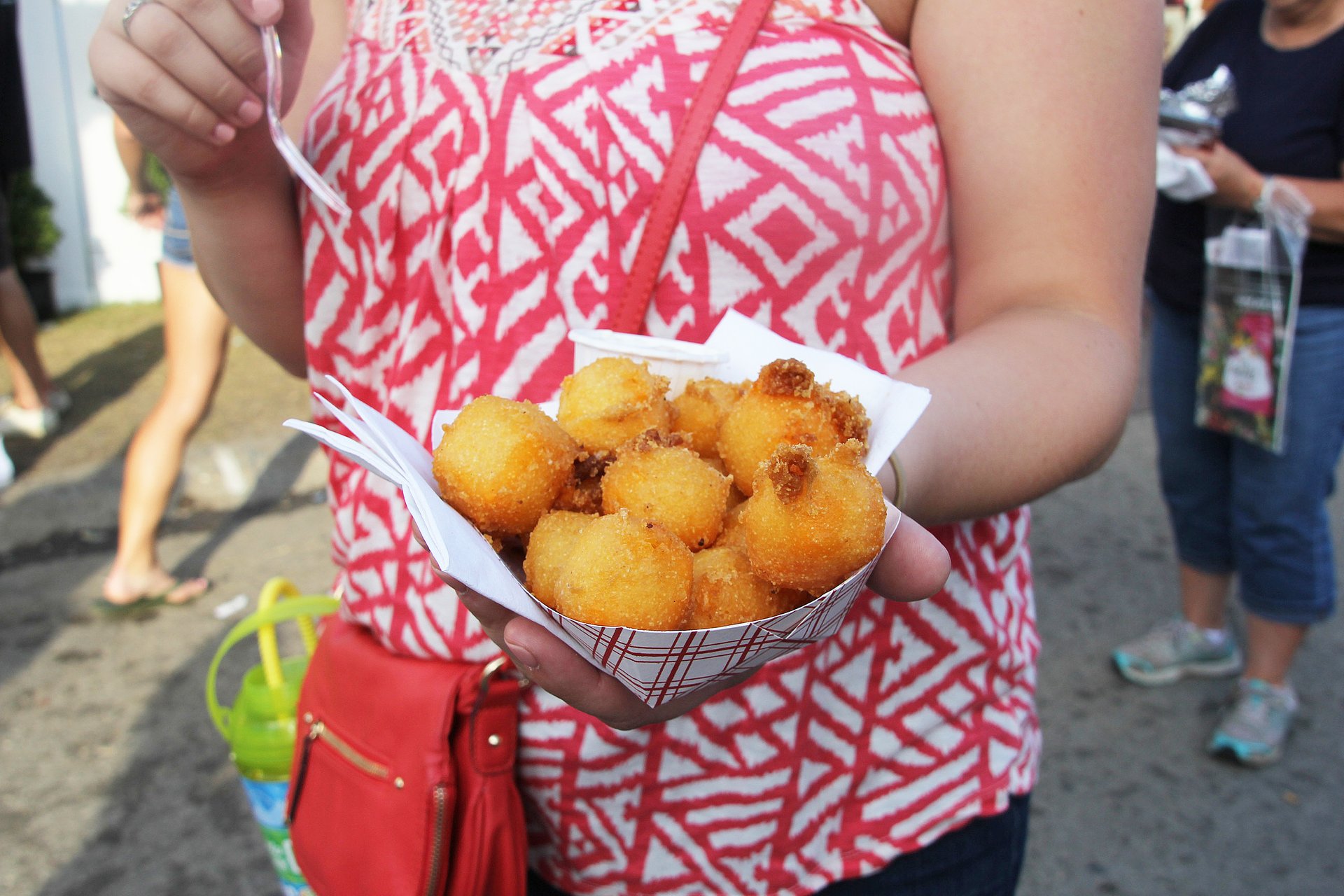 Foire de l'État du Wisconsin