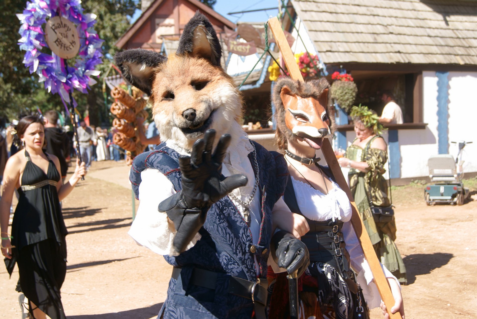 Texas Renaissance Festival