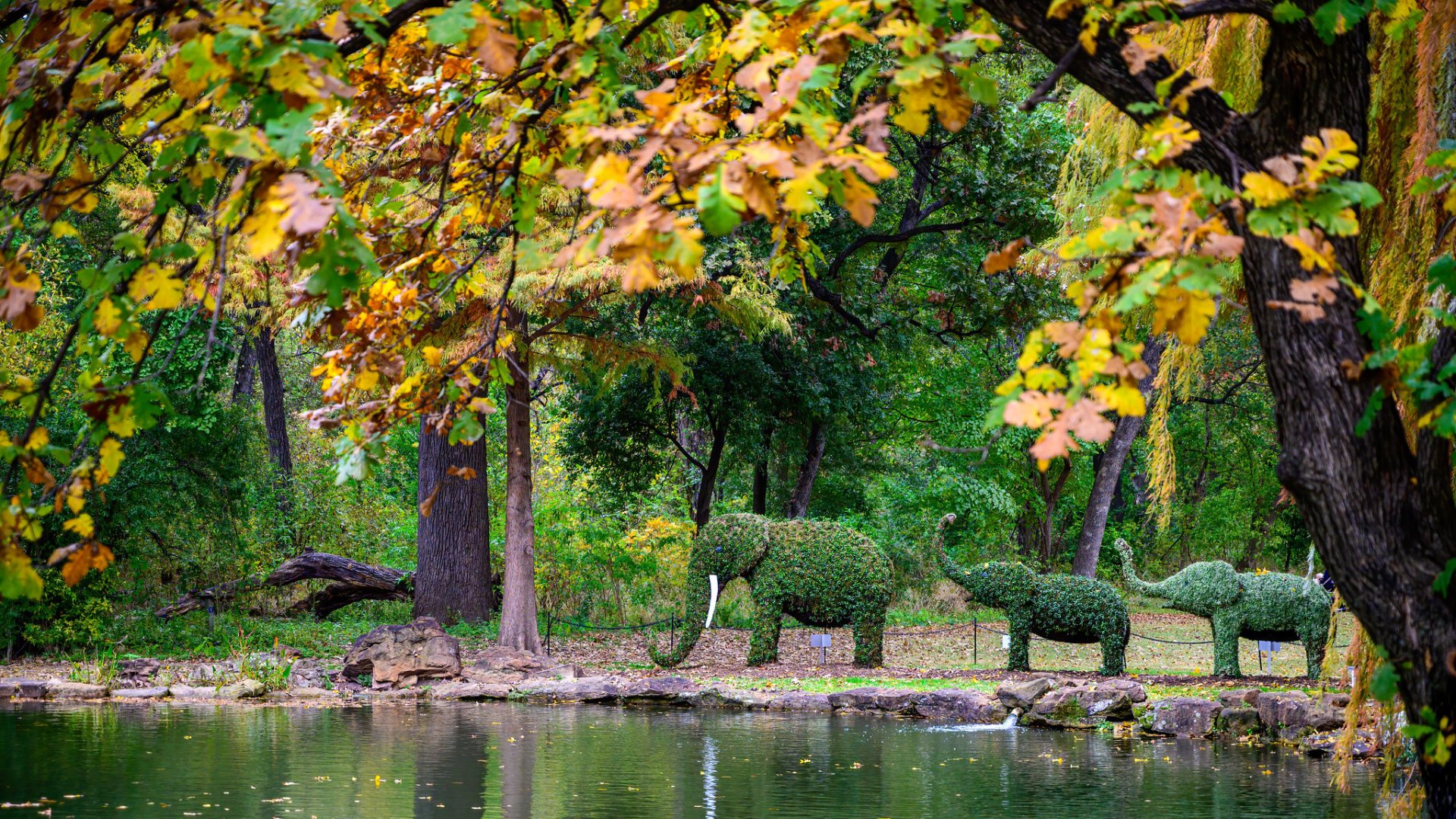 Couleurs d'automne près de Dallas