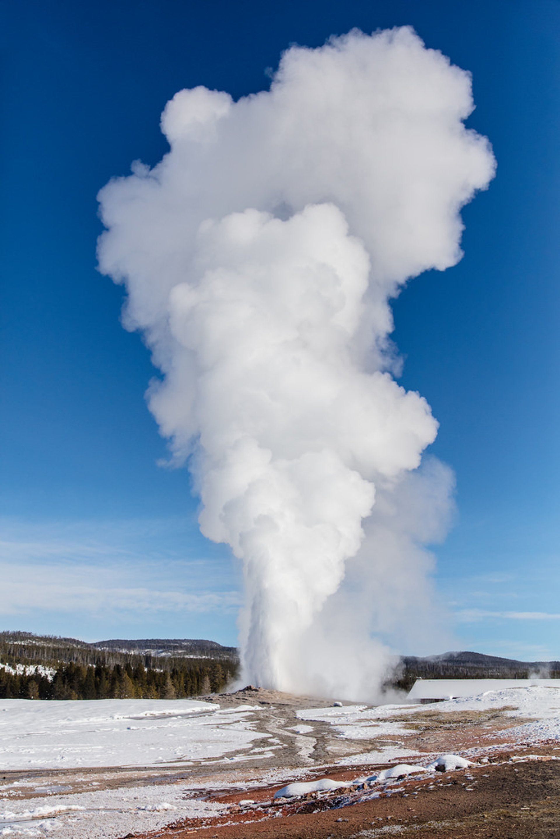 Geyser Old Faithful