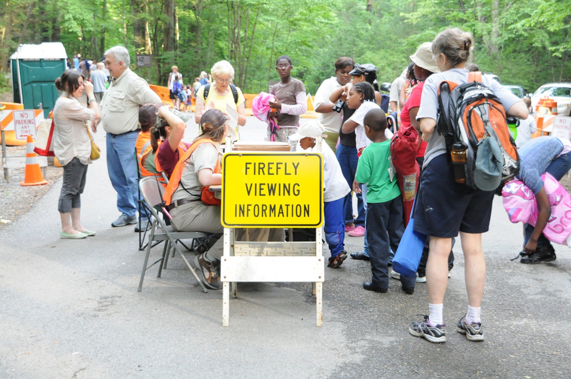 Best Time to See Synchronous Fireflies in Tennessee 2024 Rove.me