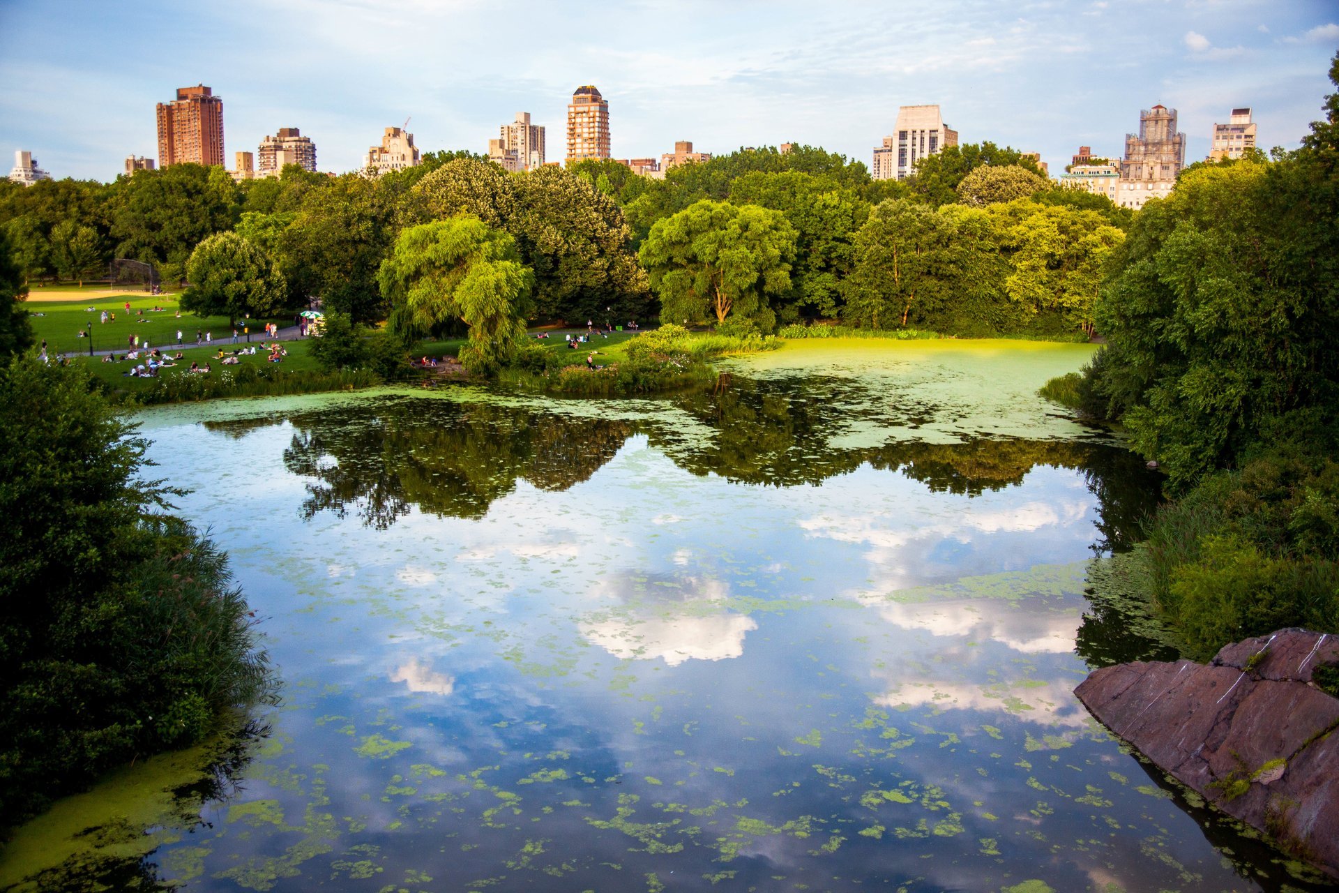 Temporada de picnic em Central Park