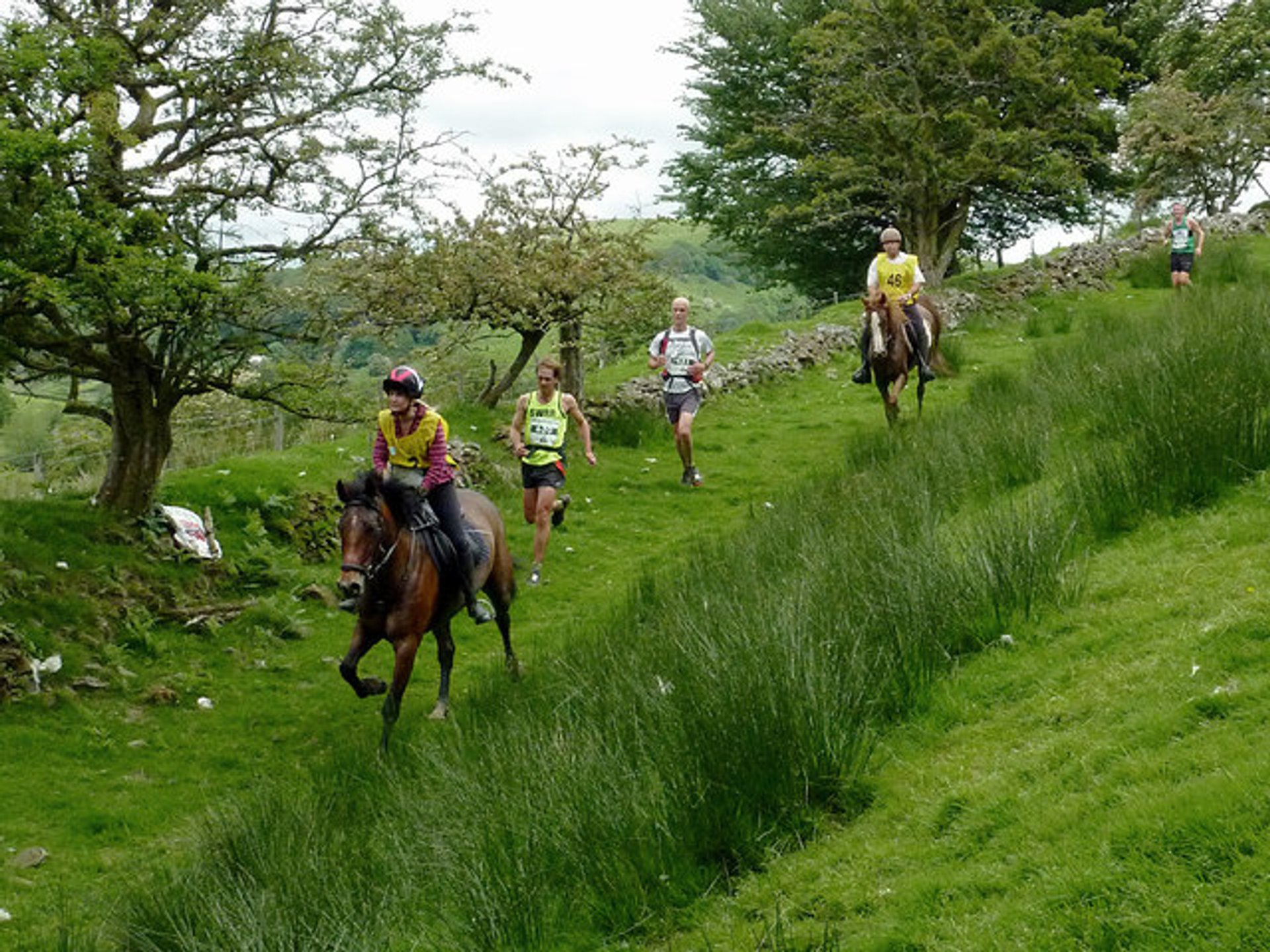 Homme contre Chevaux Marathon