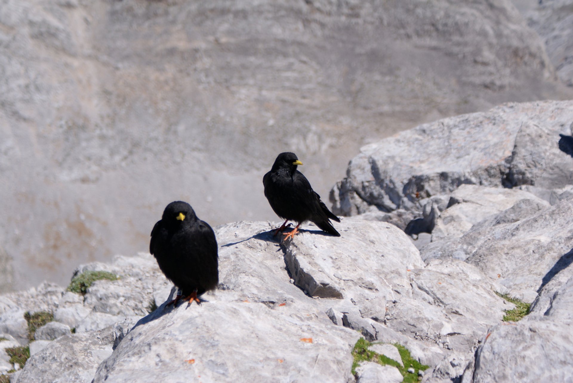 Trilhas de caminhada Picos de Europa