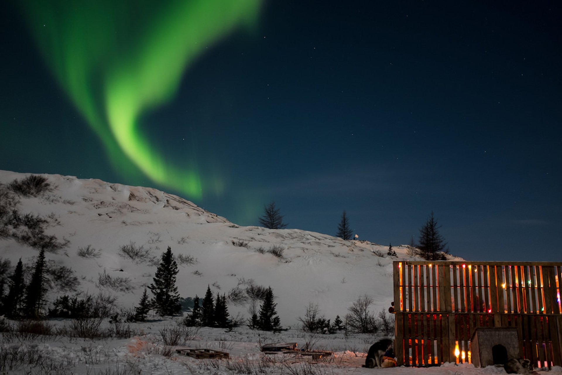 Aurora Boreal or Luces del norte