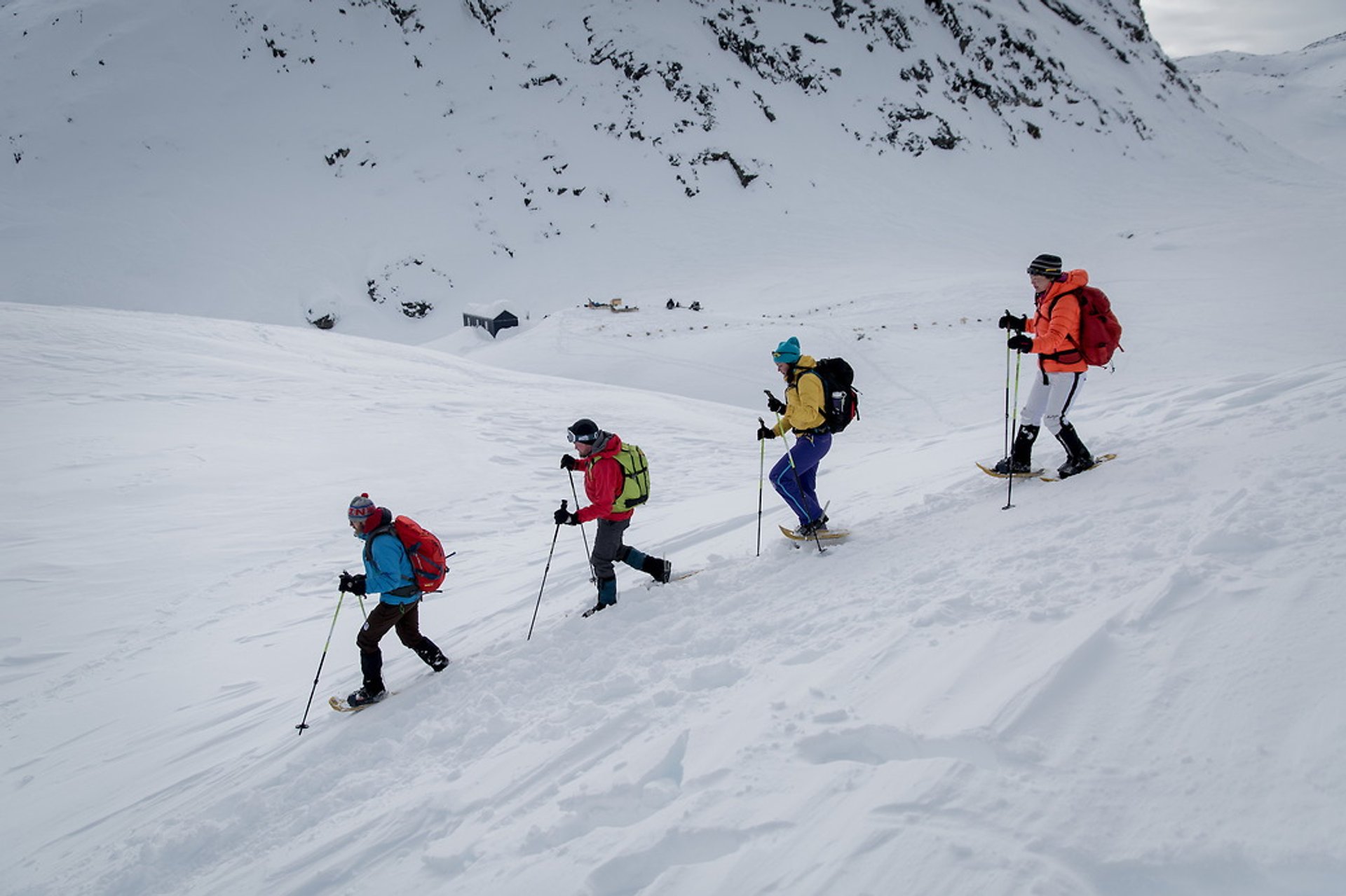 Best time for Snowshoeing in Greenland 2020 - Best Season ...