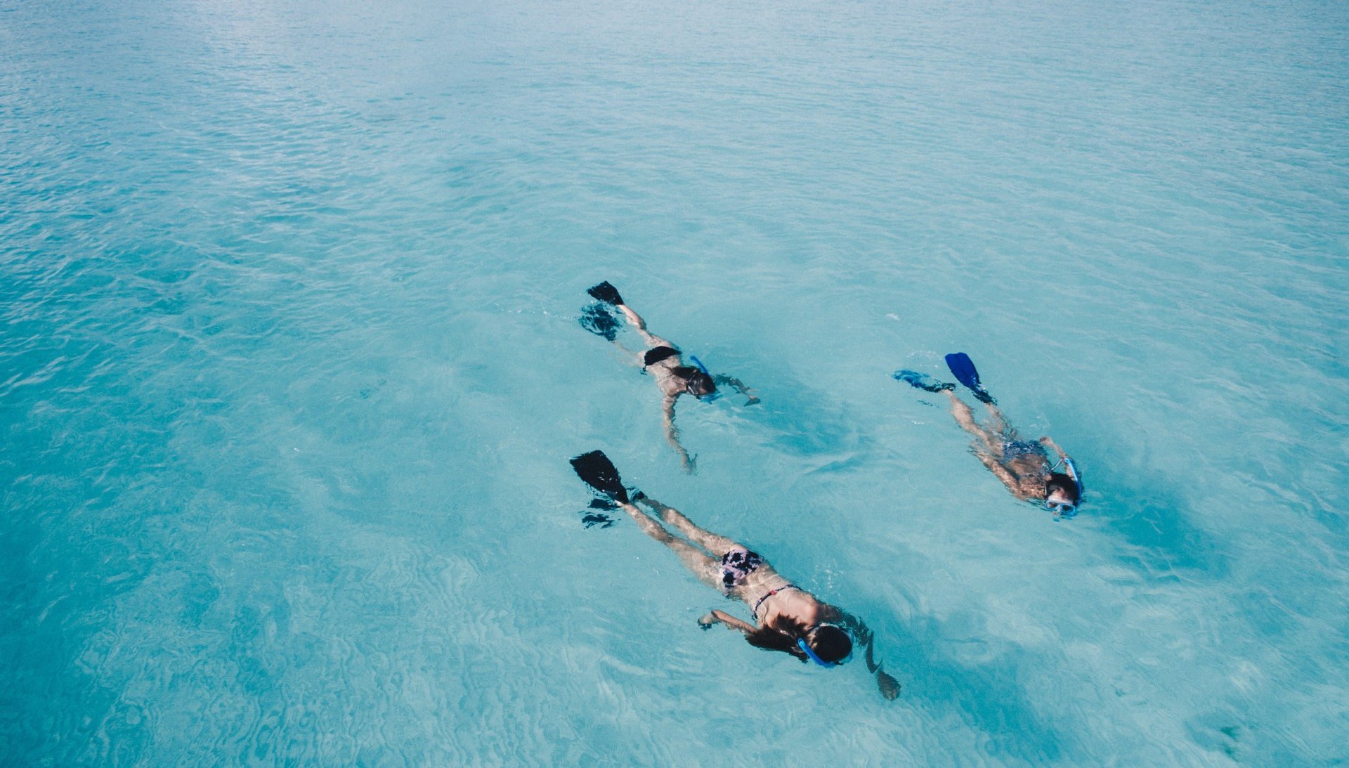 Plongée sous-marine et snorkeling