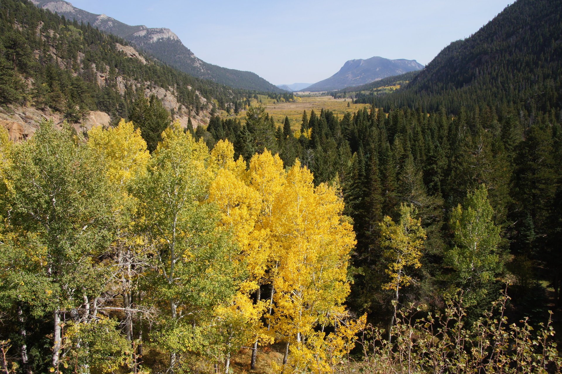Rocky Mountain Nationalpark Herbstlaub
