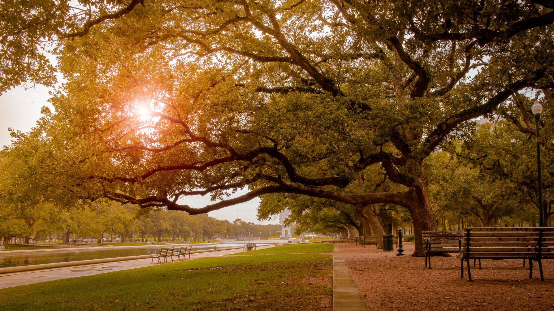 Houston Herbstfarben