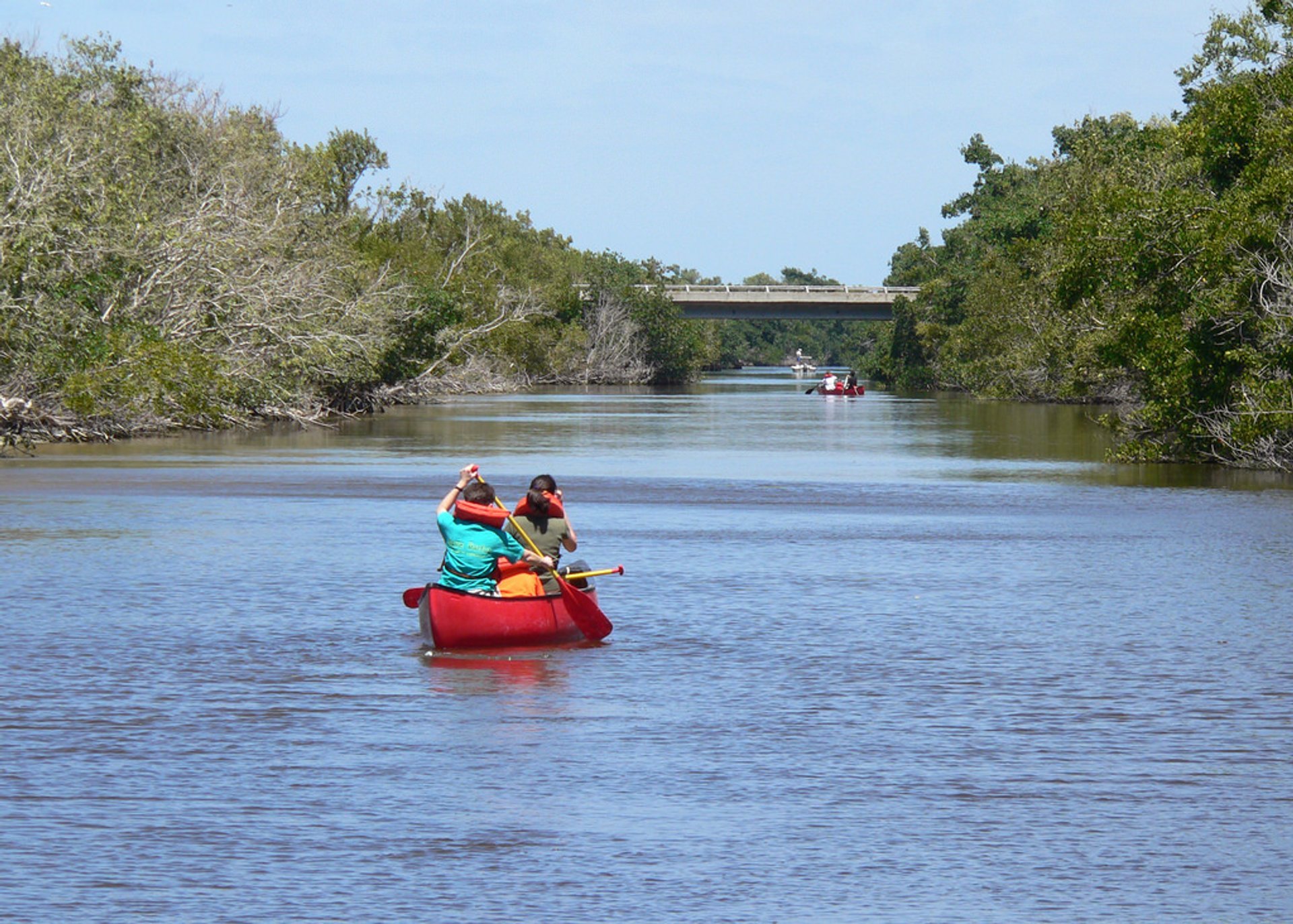 Aventura de barco em Everglades