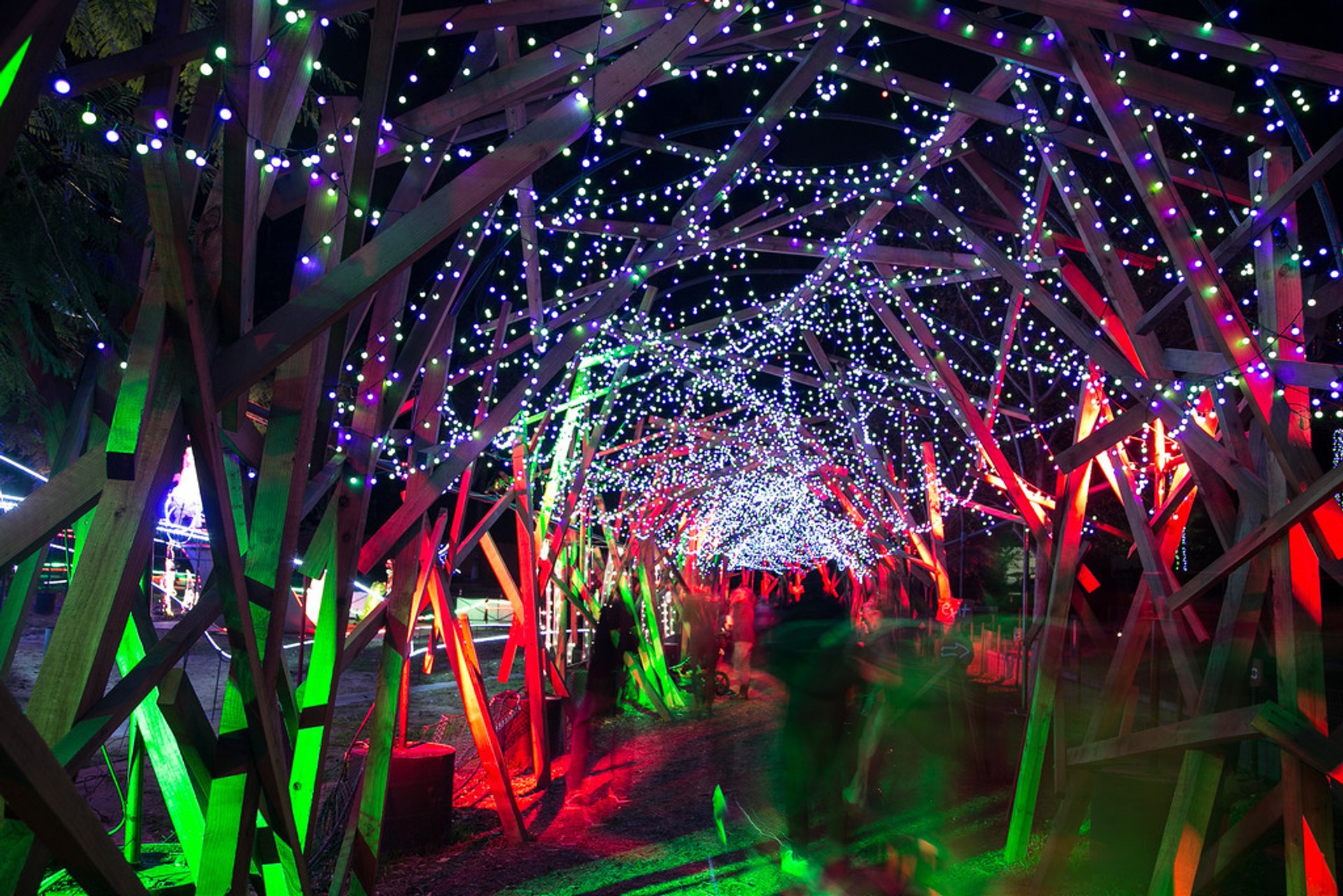 LA Zoo Lights