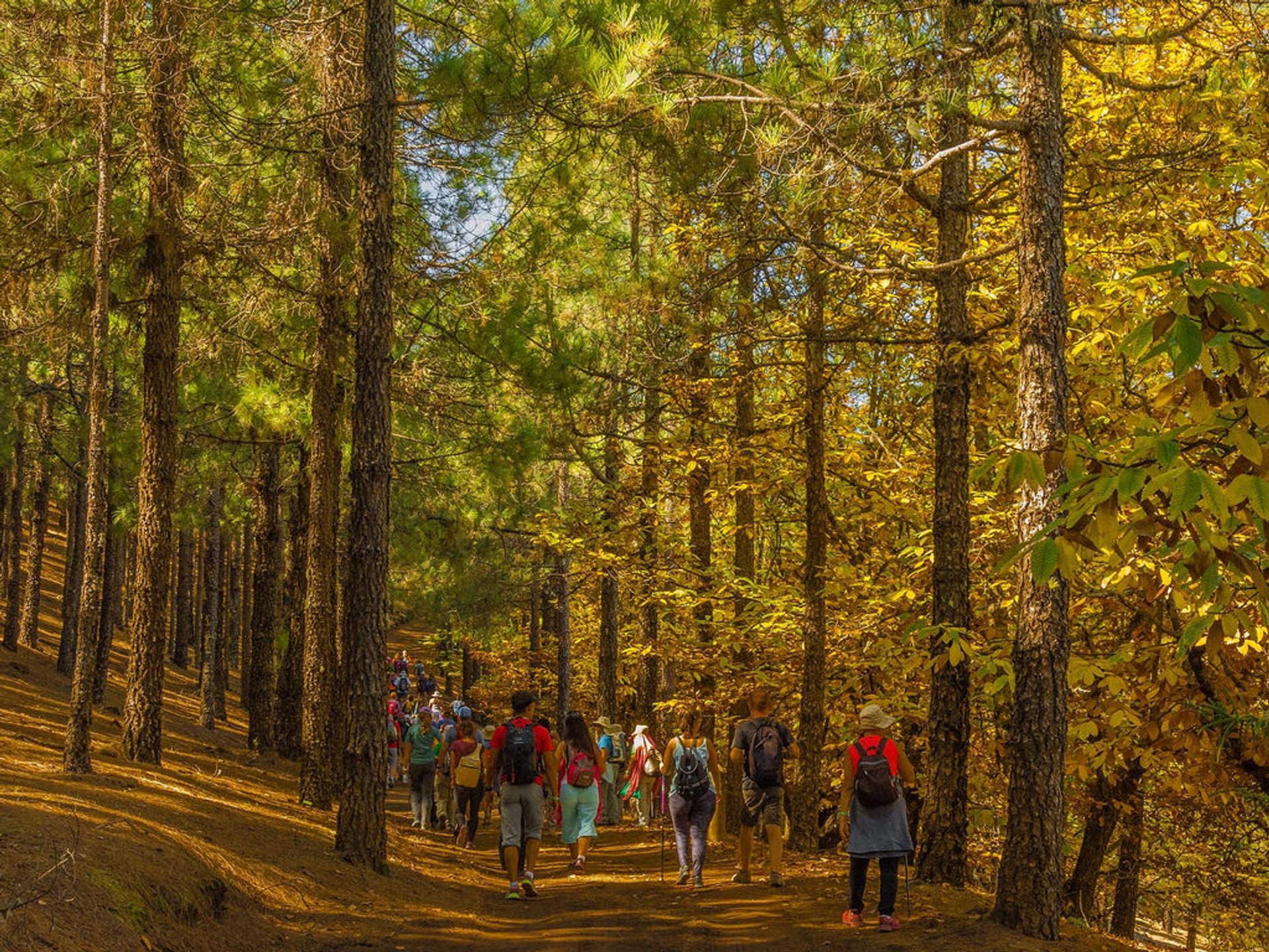 Festivais de Caminhada