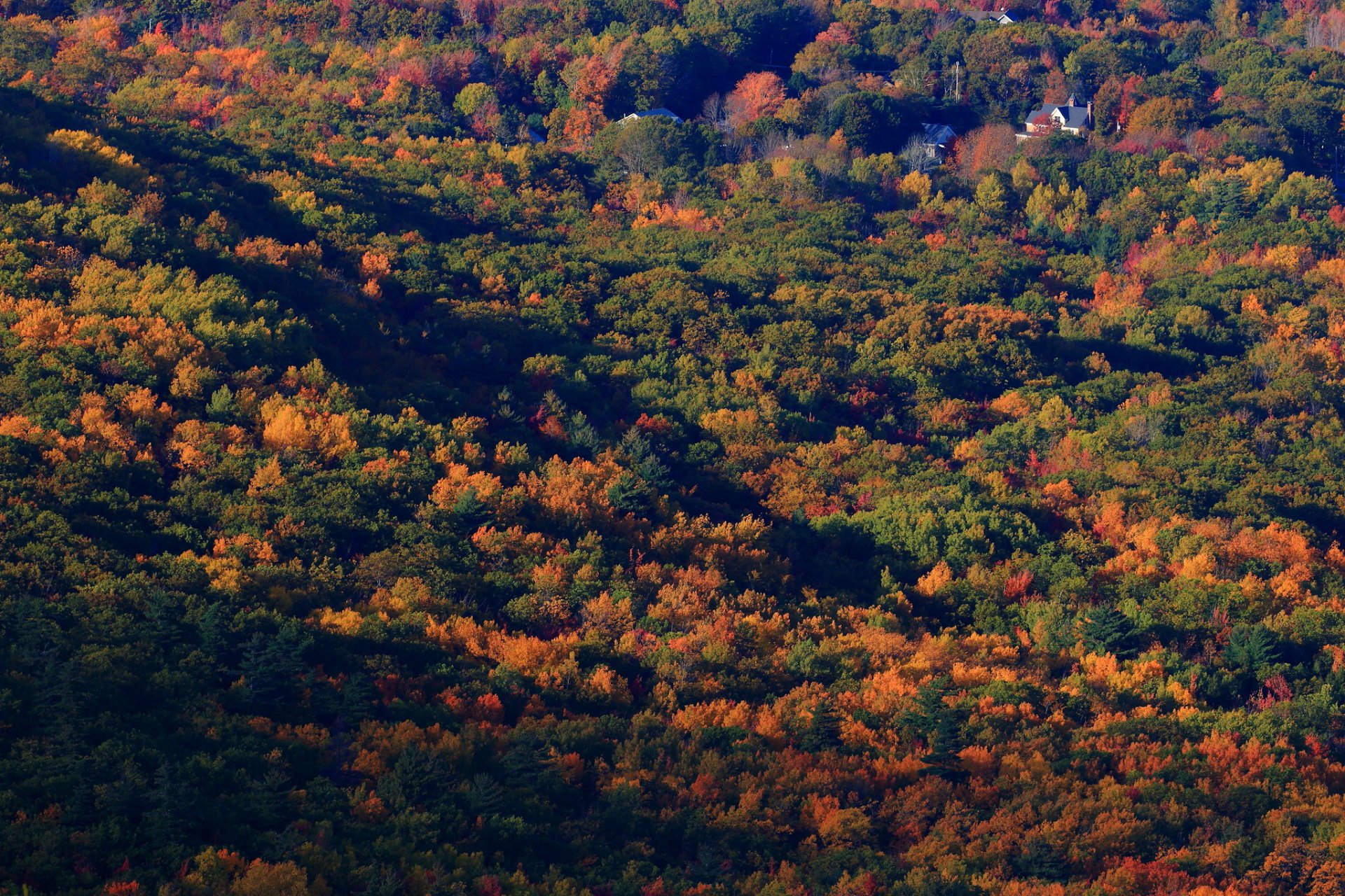 Acadia National Park Fall Colors
