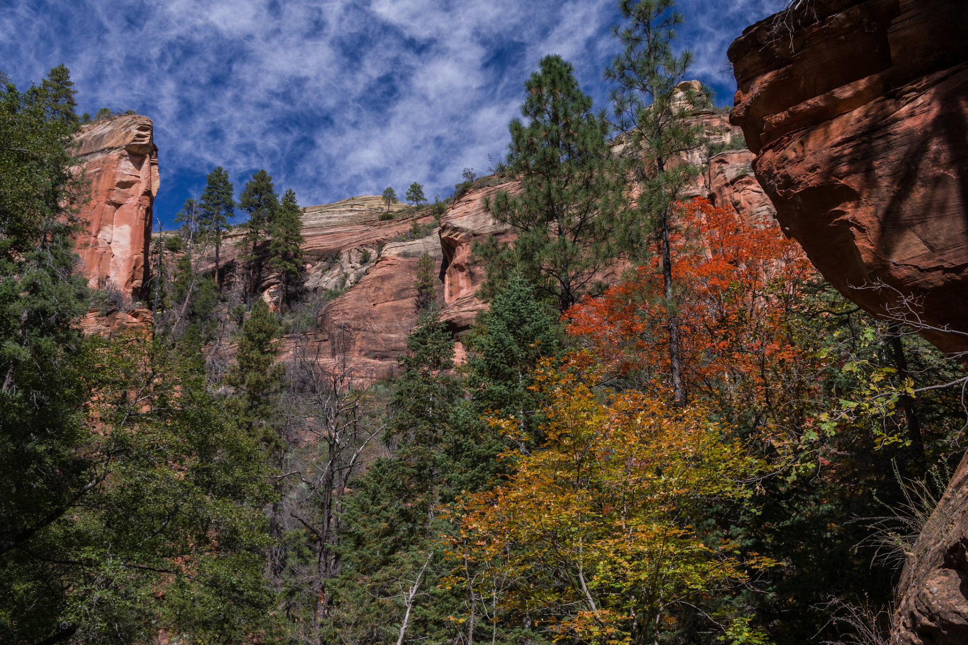 Cores de Outono de Sedona