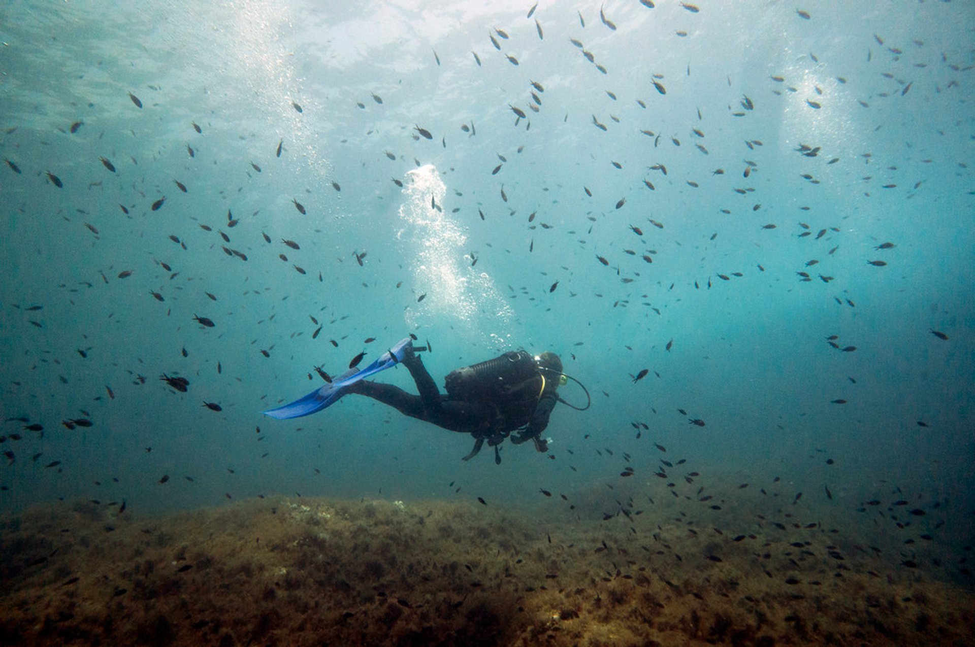 diving safari malta