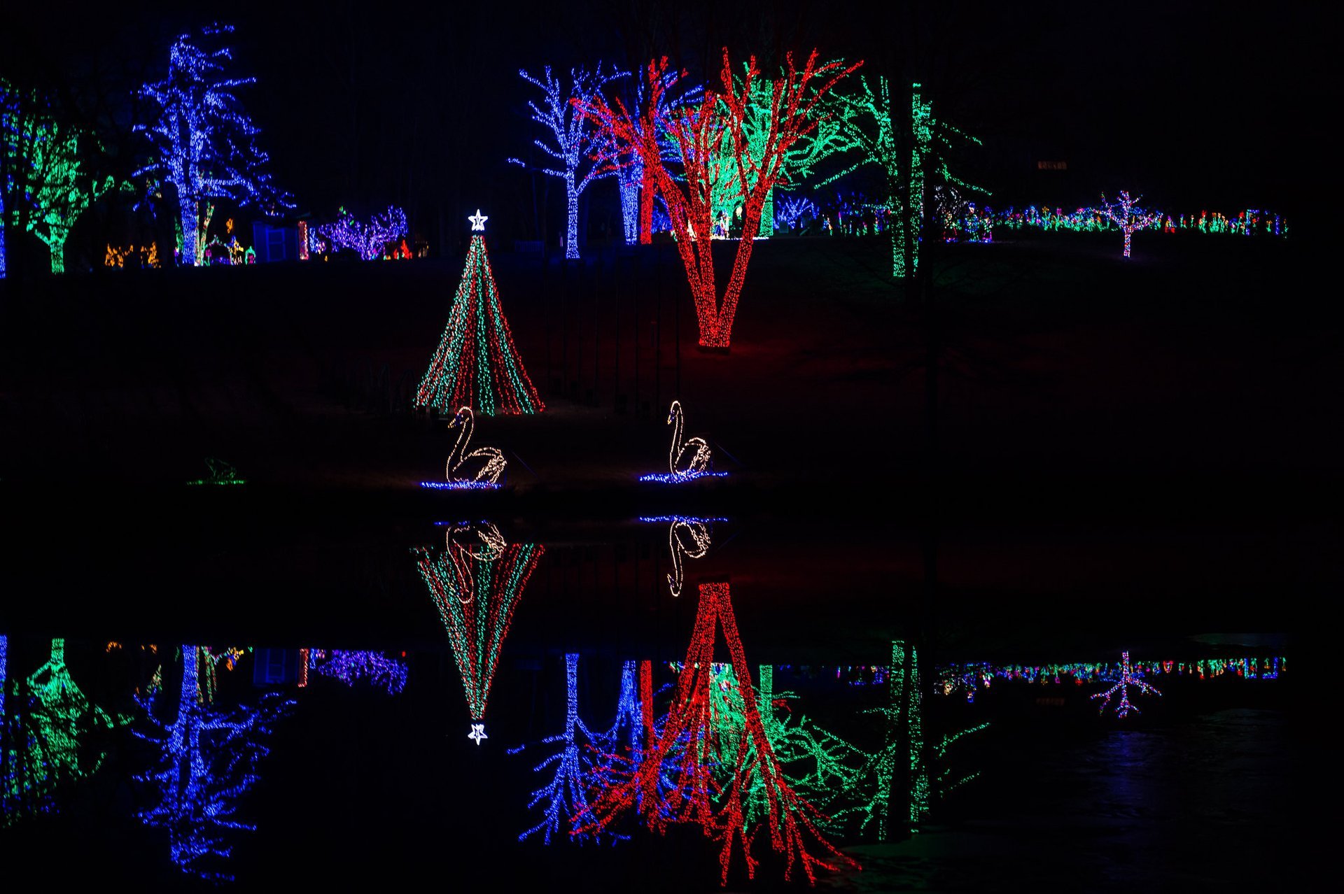 Lumières de Noël à travers la Virginie