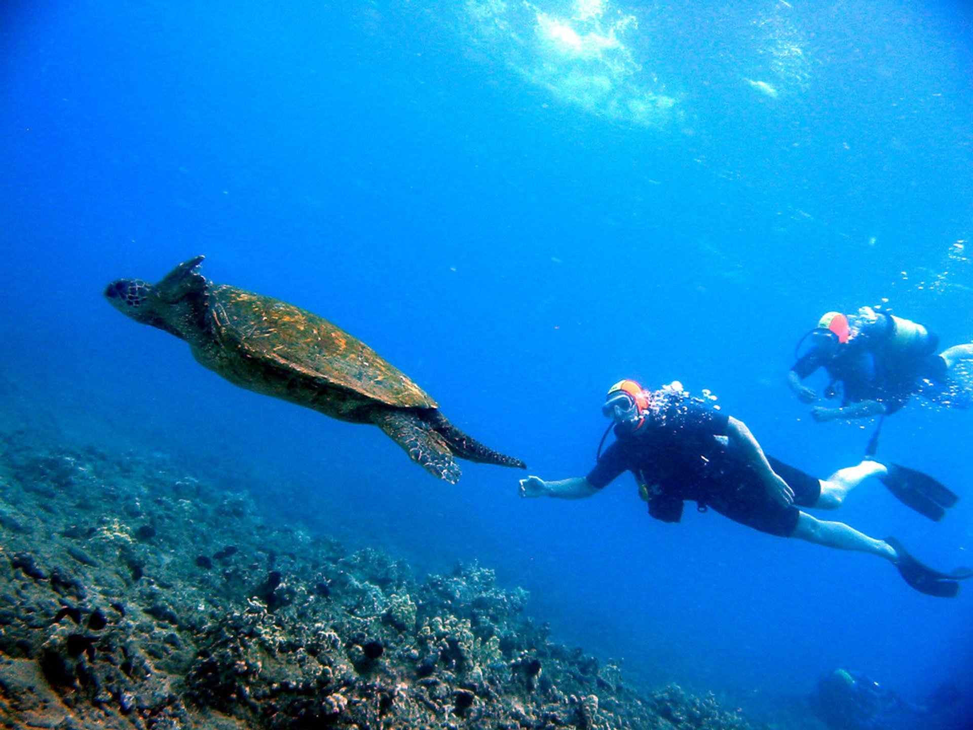 Scuba Diving und Schnorcheln