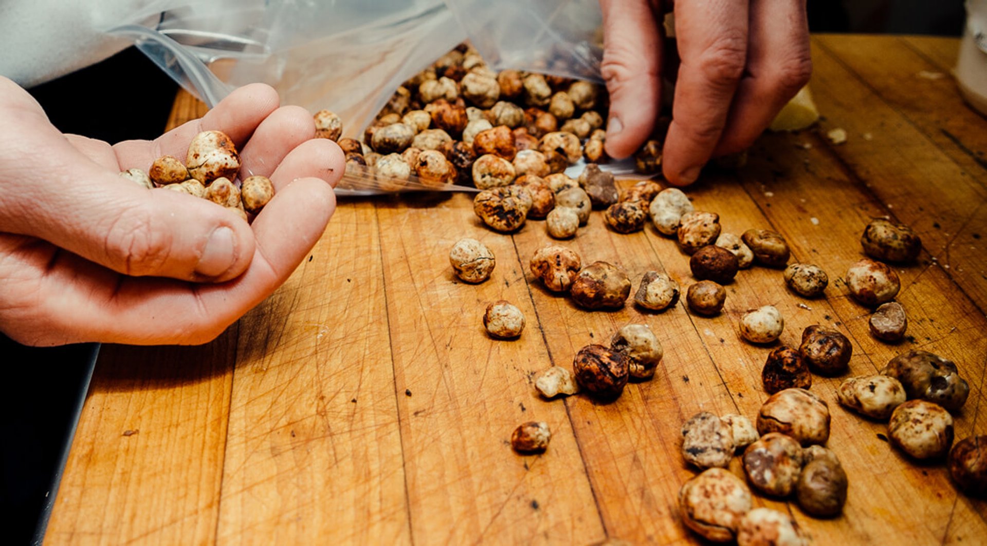 Festival de la truffe de l'Oregon