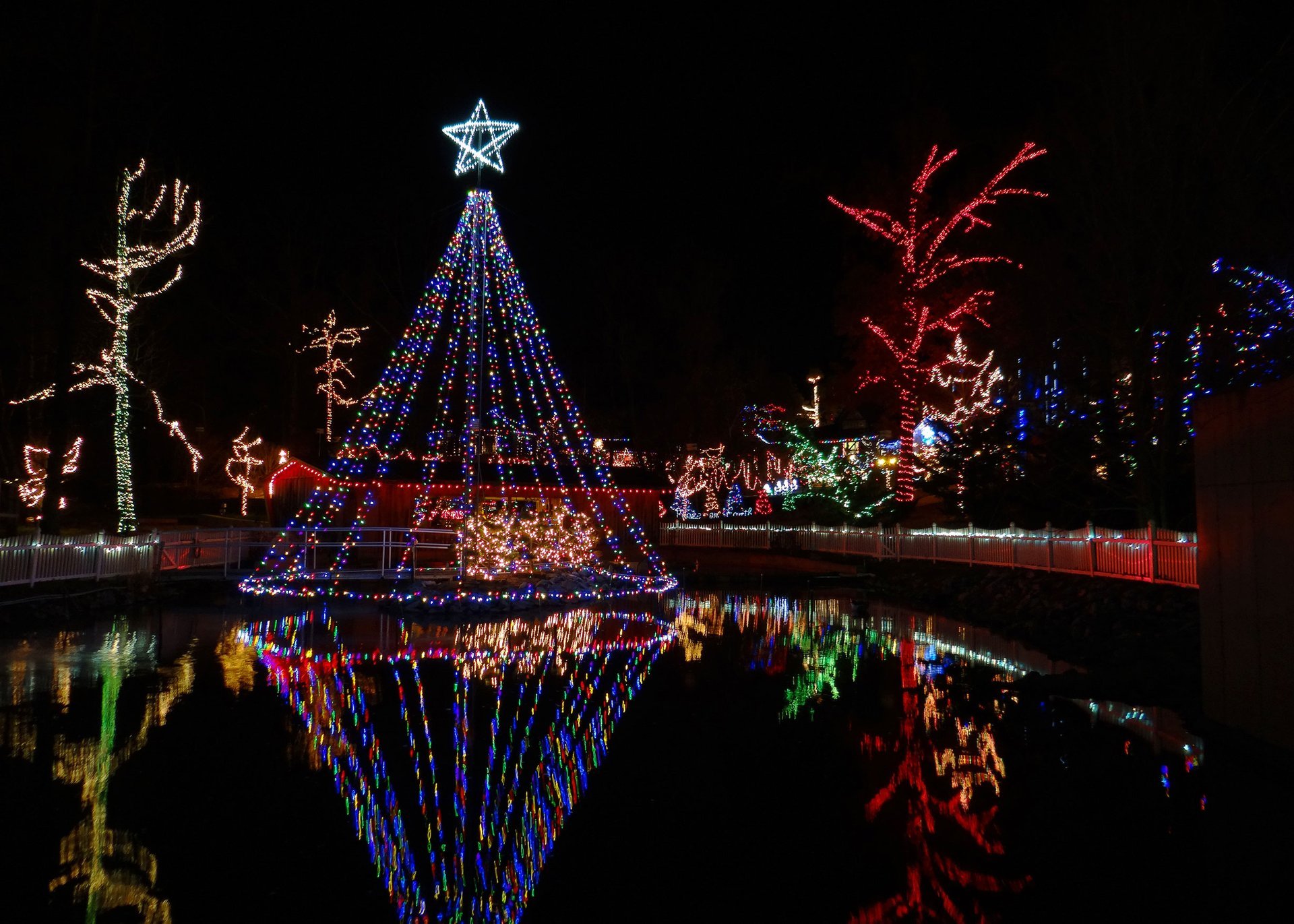 Lexington Michigan Christmas Tree Lighting 2021