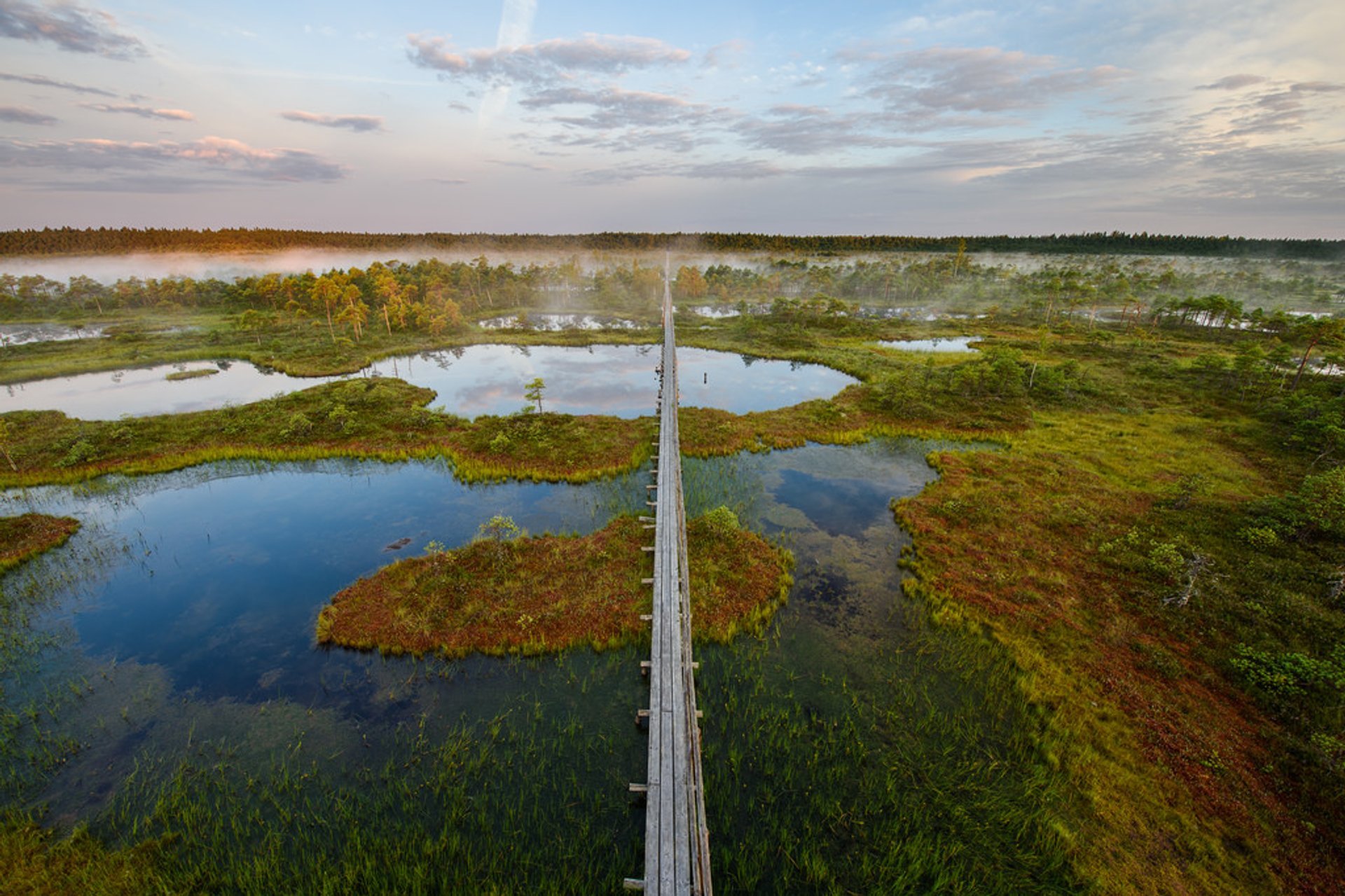 Bog Walking