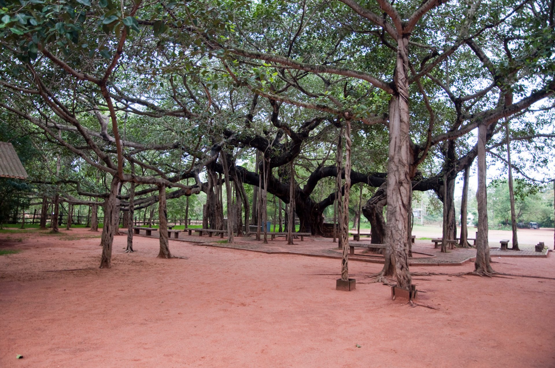 Auroville