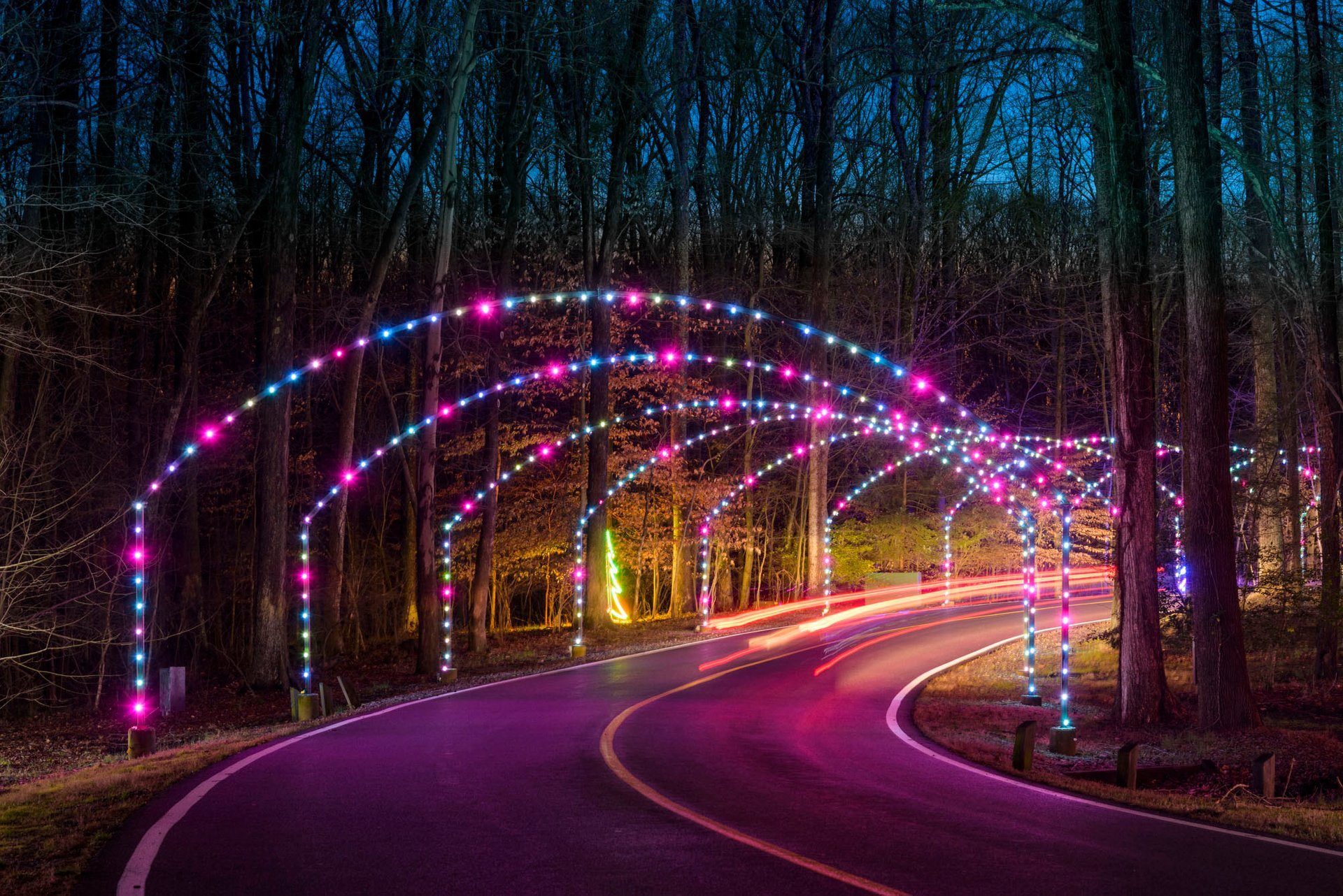 Winter Festival of Lights au Watkins Park 