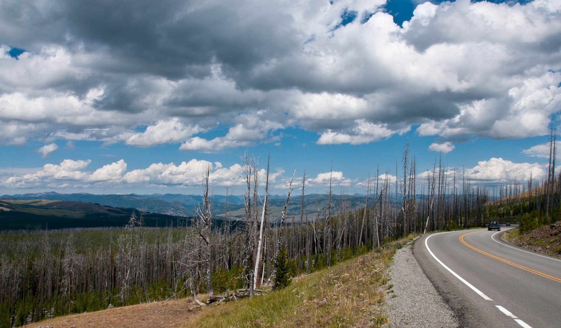 Dunraven Pass