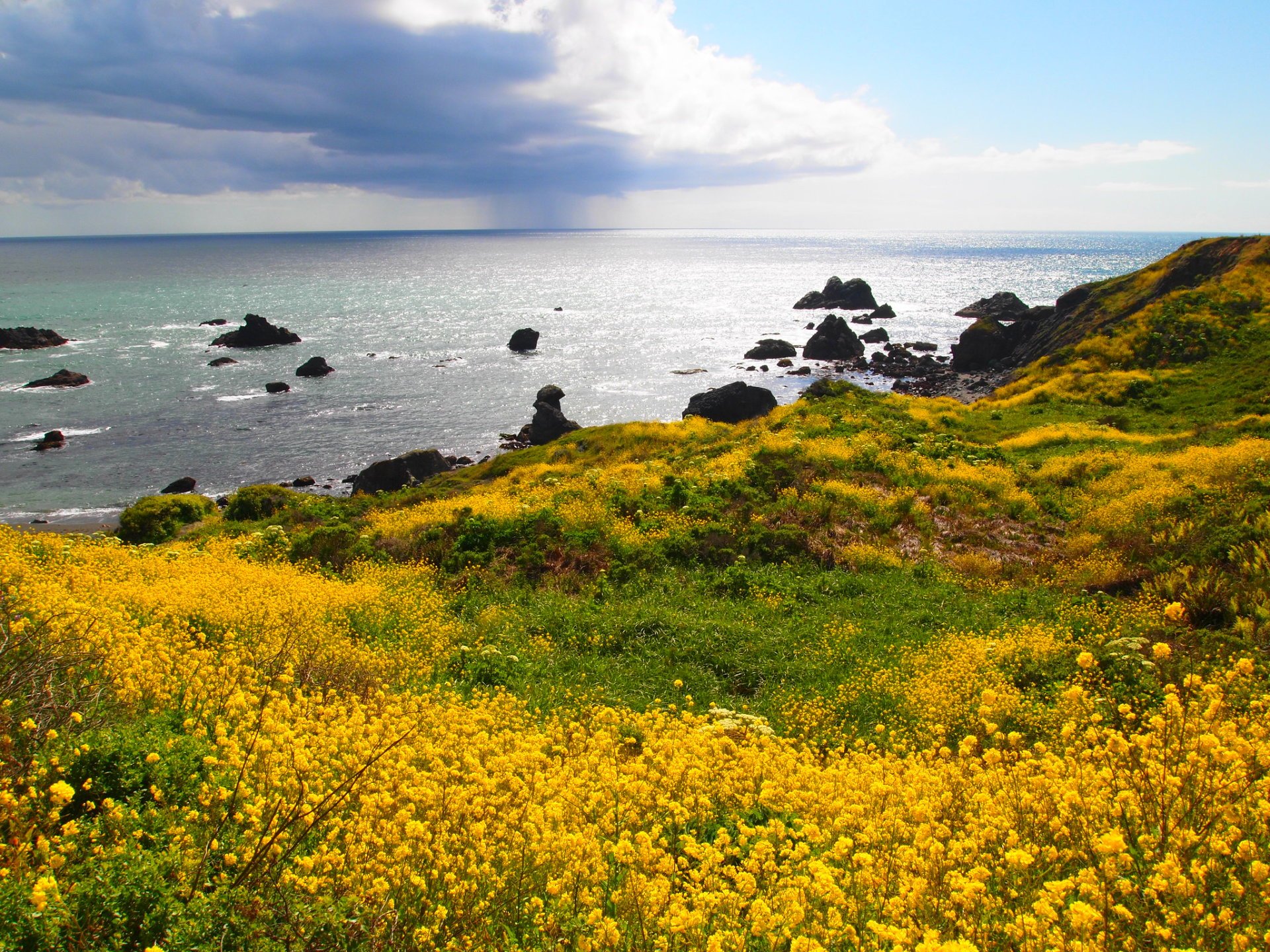 Spiagge di Napa e Sonoma